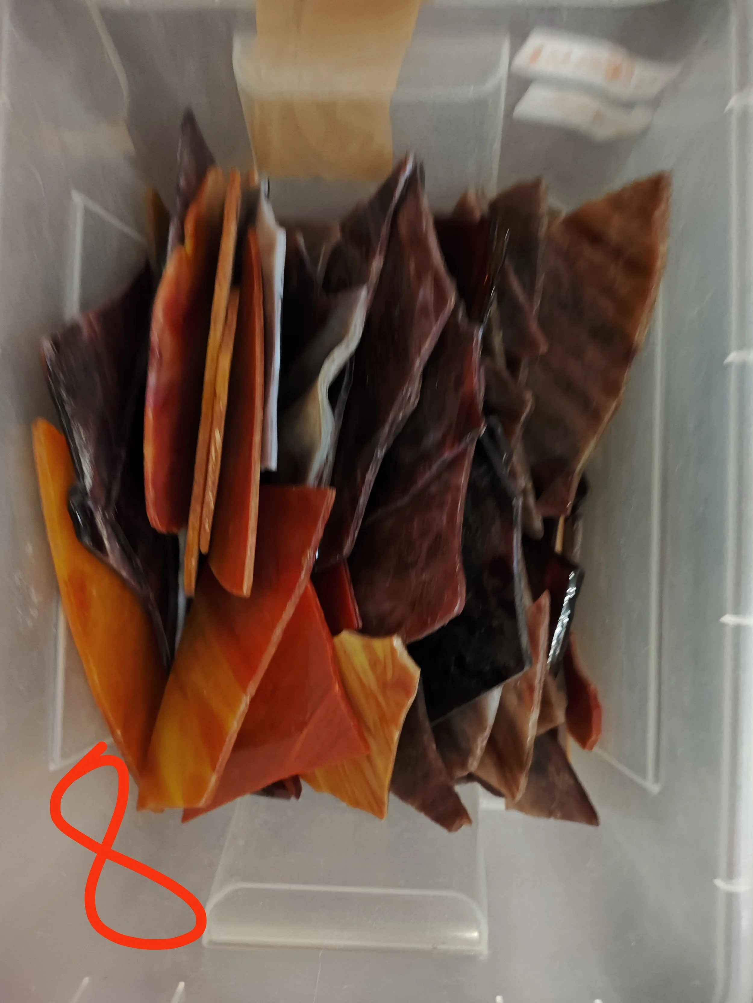 1000152745.jpg
