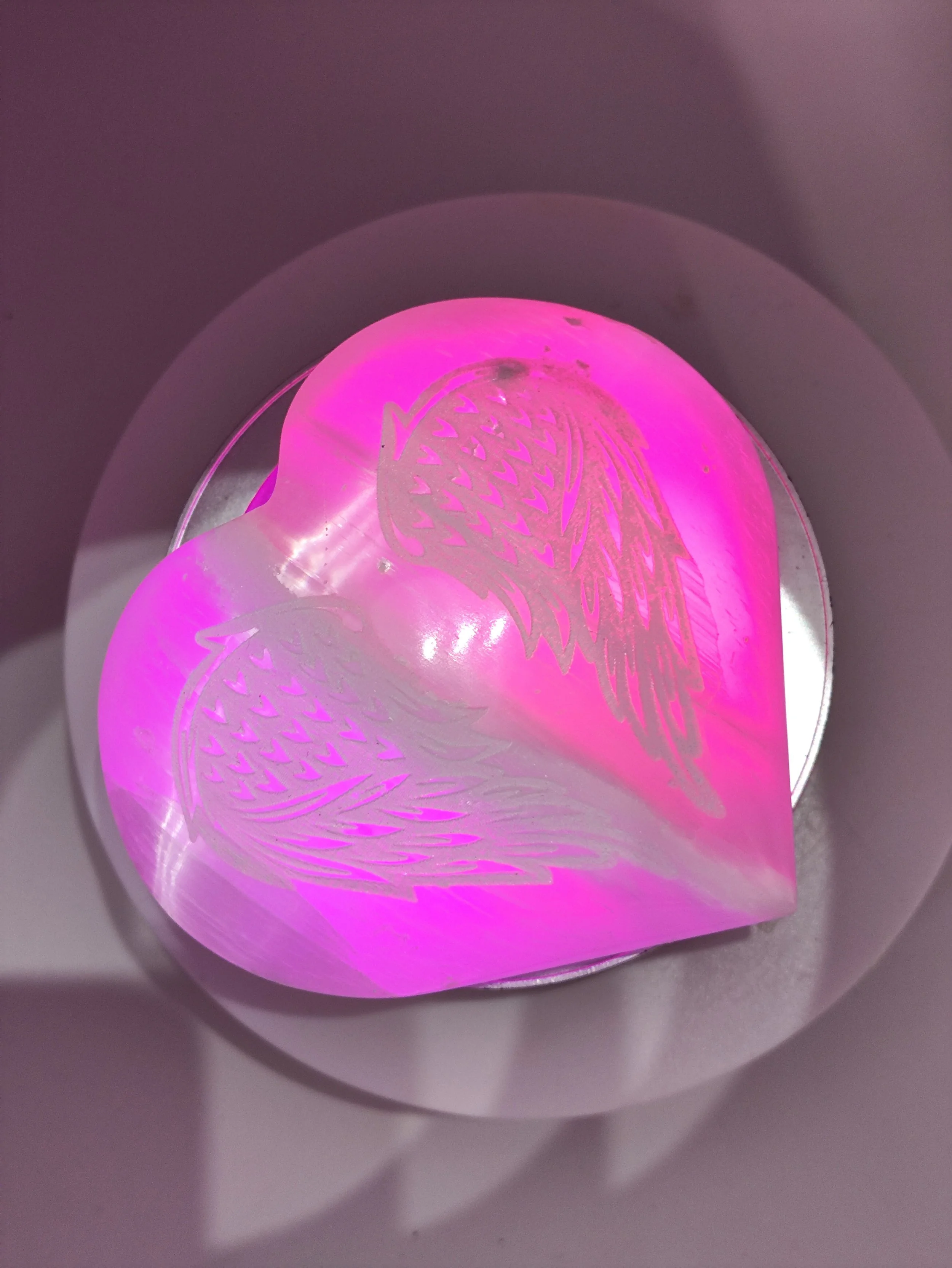 1000160884.jpg