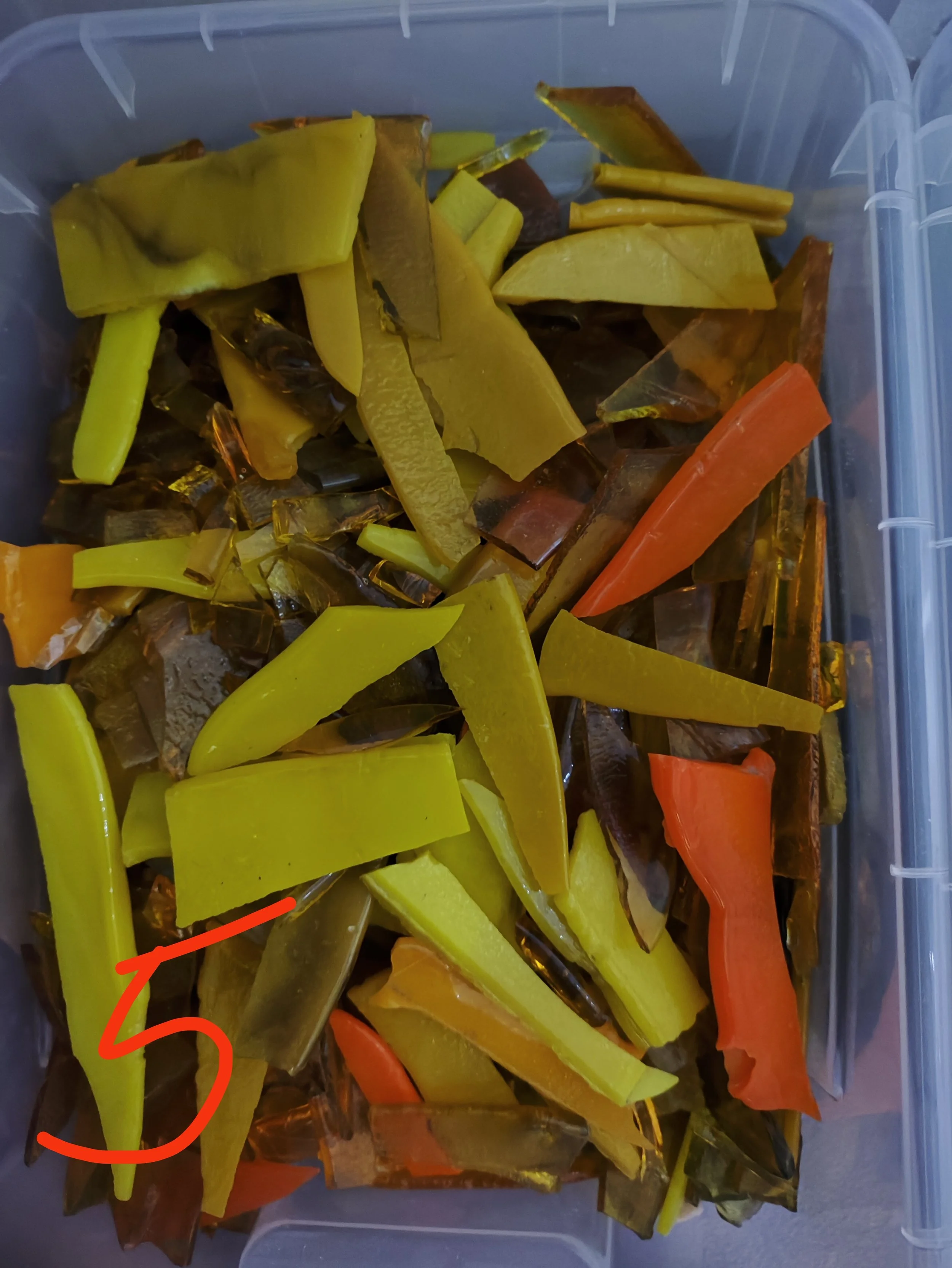 1000152742.jpg
