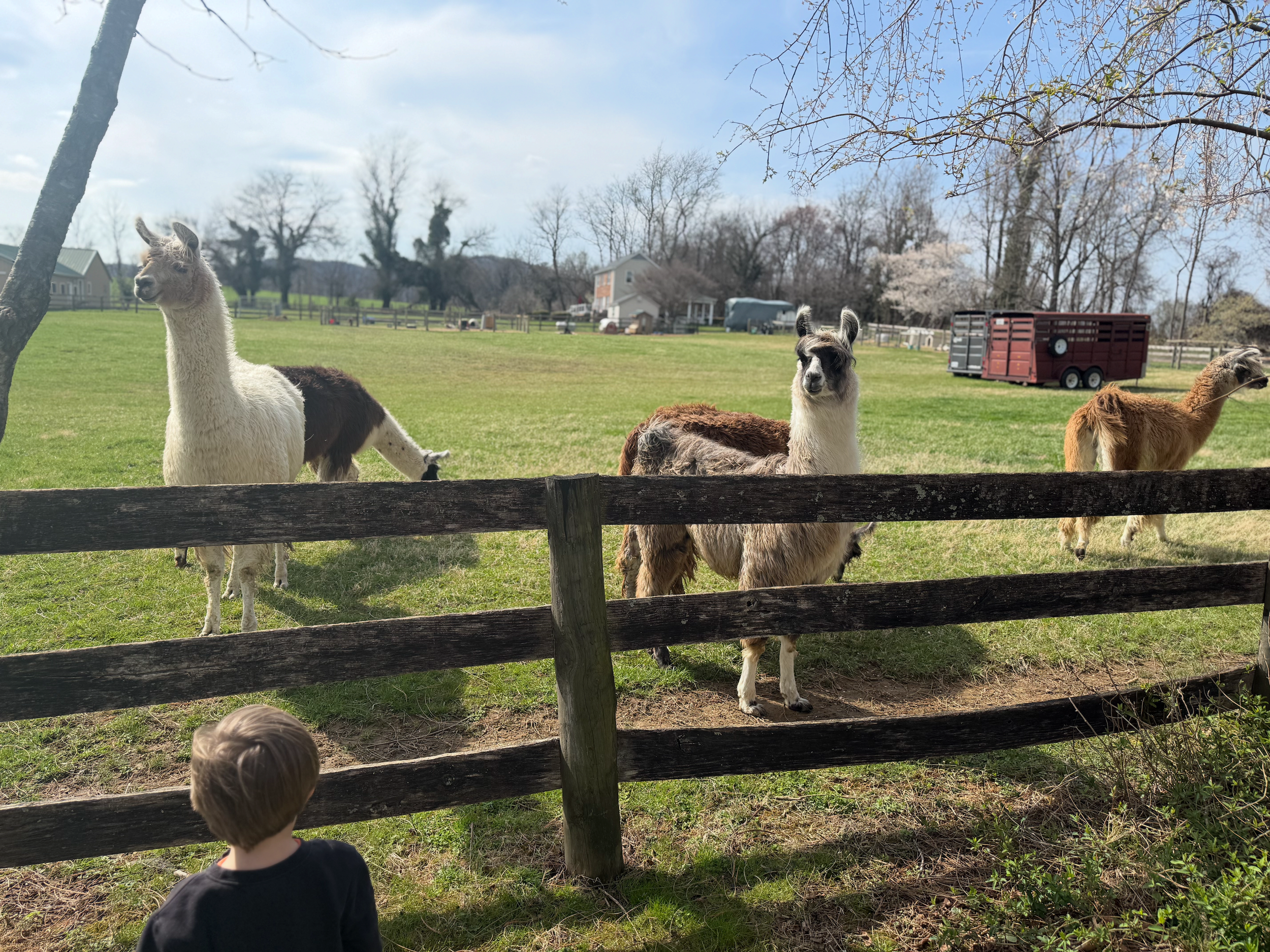 Farm Visit - 1 Child