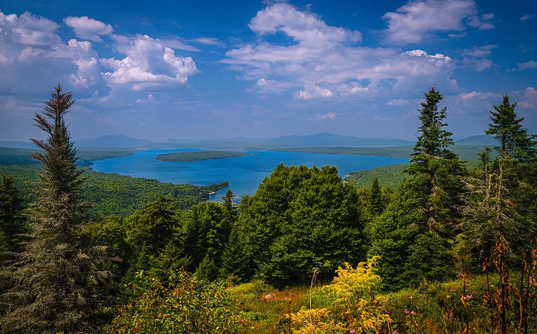 Landscape view of a large lake surrounded by green forest and distant mountains under a partly cloudy sky.