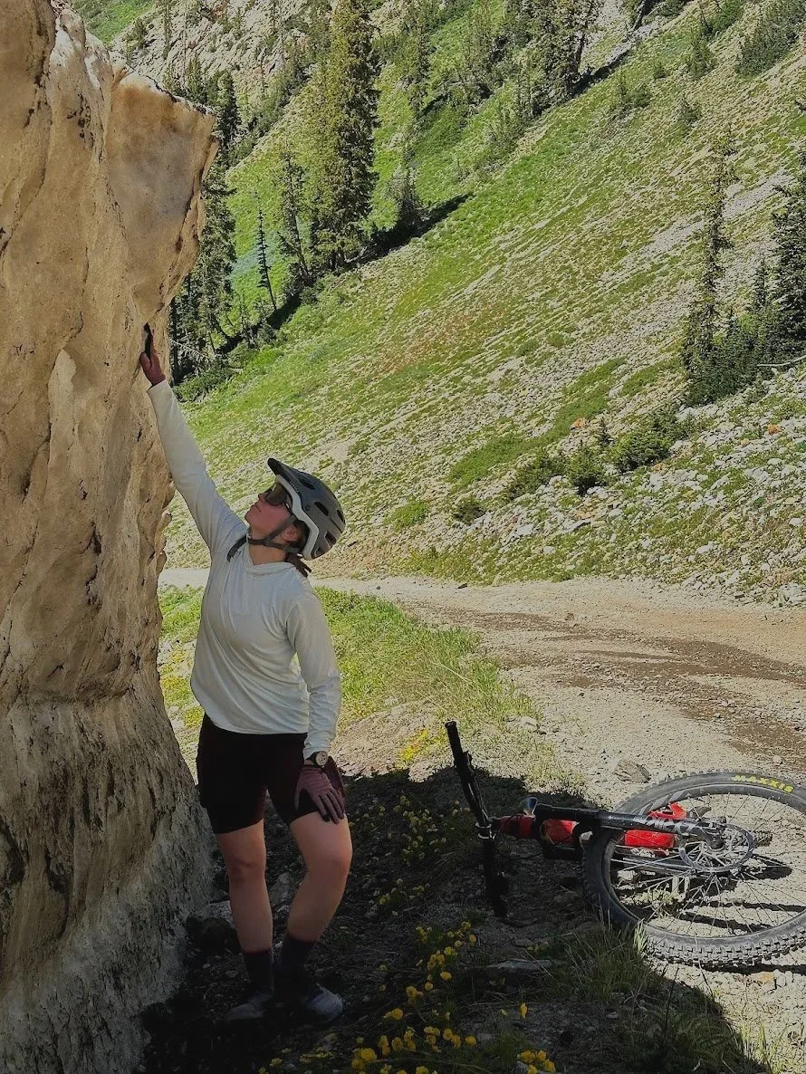 Does Weather Influence mountain Bike Demand? 