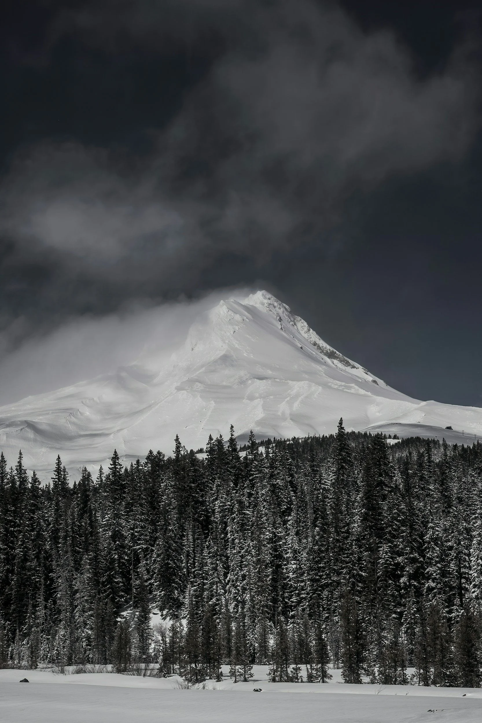 What Separated the 2023 and 2026 Ski Seasons in the Pacific Northwest, and What ENSO Had to Do With It