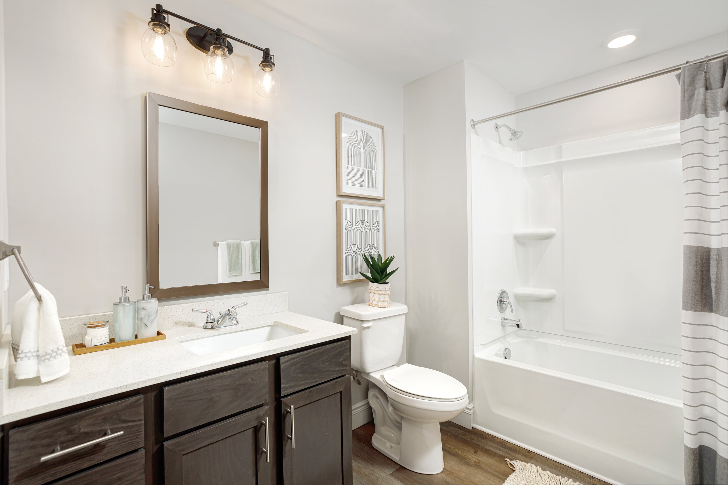 Modern bathroom with vanity, mirror, framed artwork, potted plant, toilet, and bathtub with shower curtain.