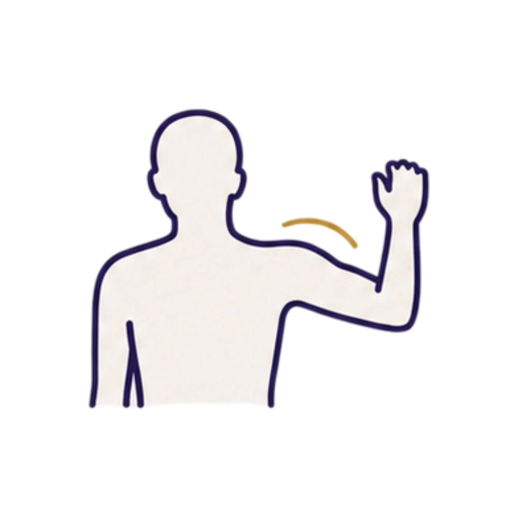 Illustration focused on the shoulder