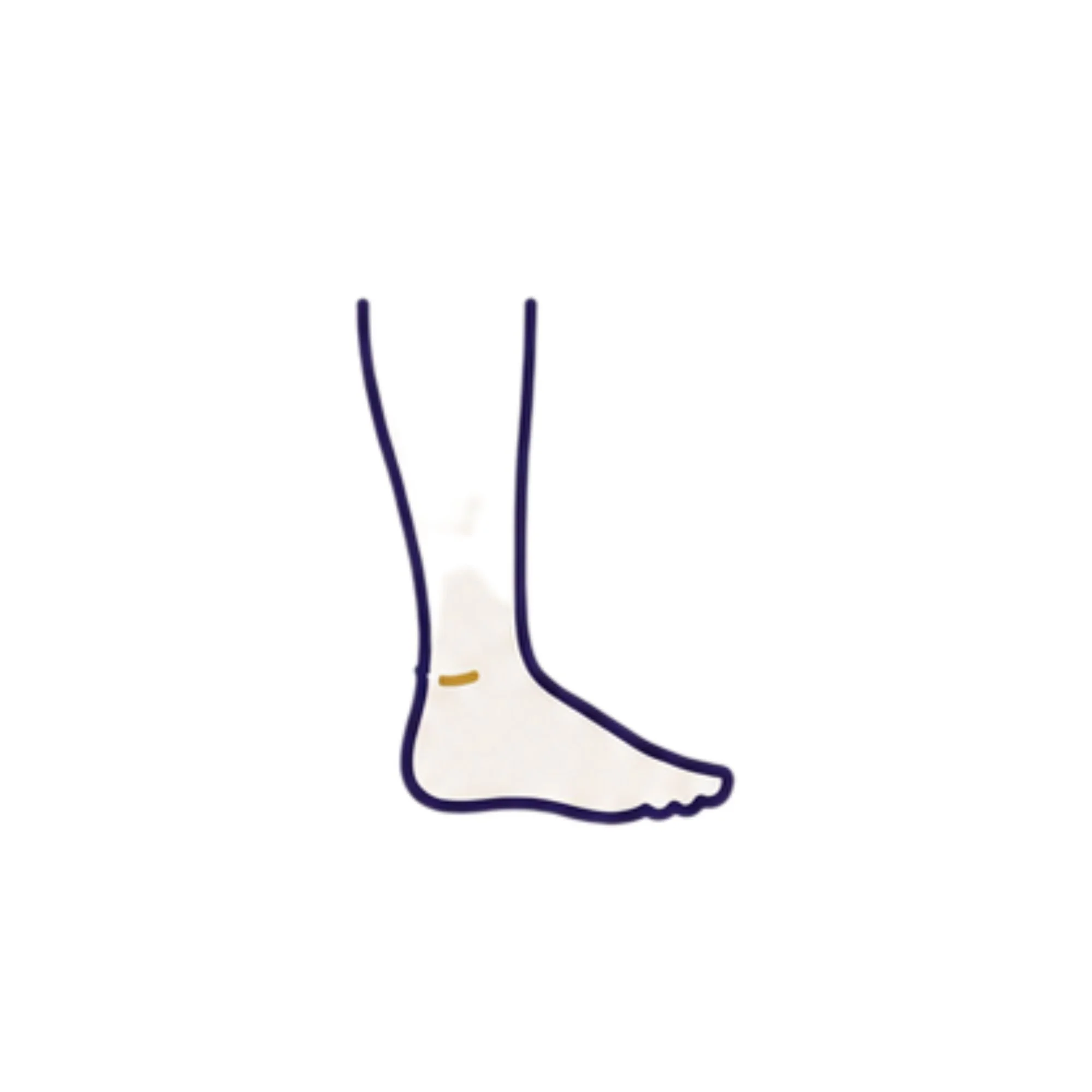 Illustration focused on the foot and ankle