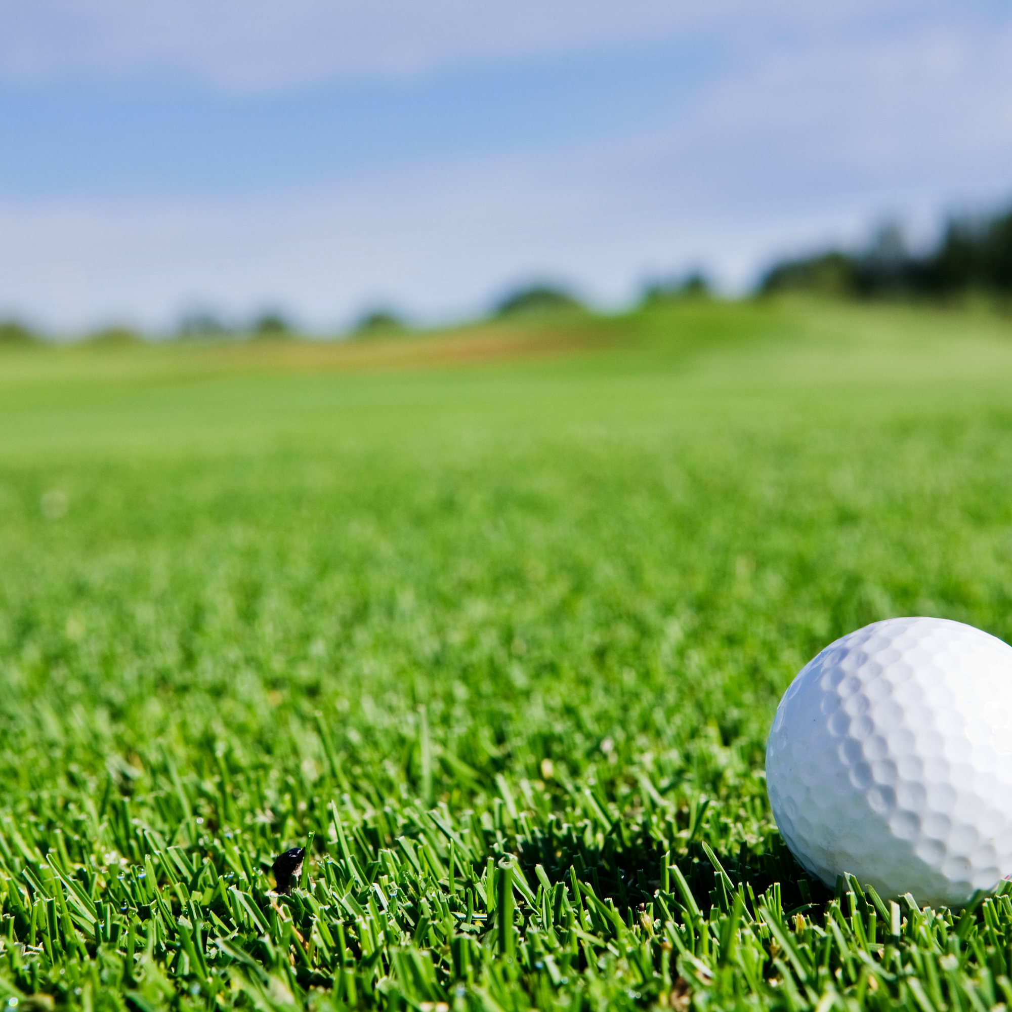 golf ball on grass