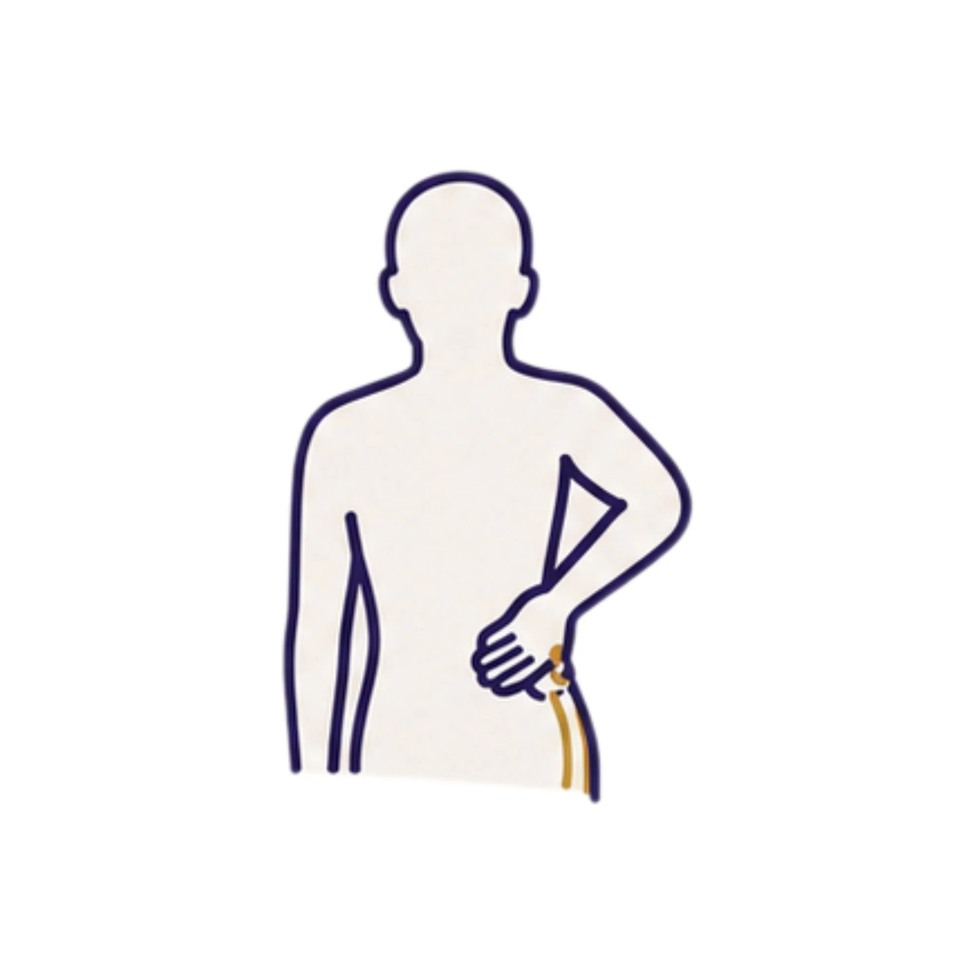 Illustration focused on the lower back