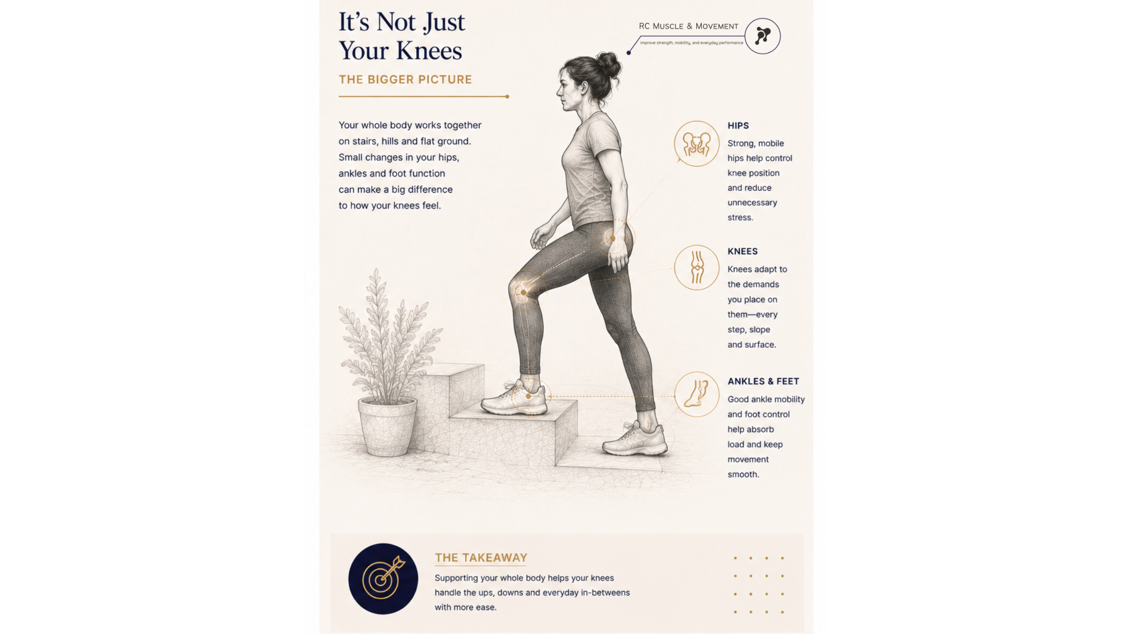 educational infographic of woman walking highlighting that it may not just be your knees that are causing the issue or pain but hips , glutes feet and ankle also contribute to knee comfort