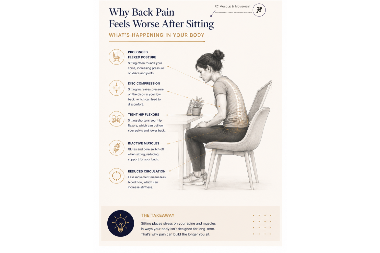 info-graphic explaining why back bain feels worse after sitting and depicts a woman sitting but leaning forward and an anatomical highlight of spine and lumber