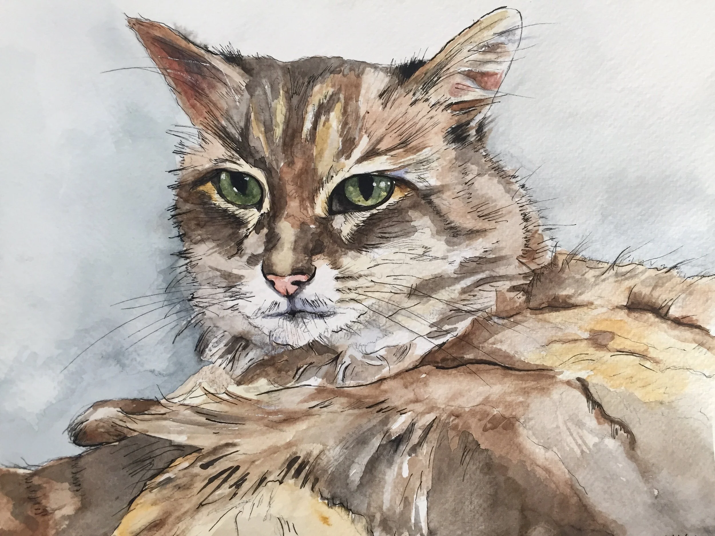 Watercolor painting of a tabby cat with green eyes, lying down with front paws crossed.