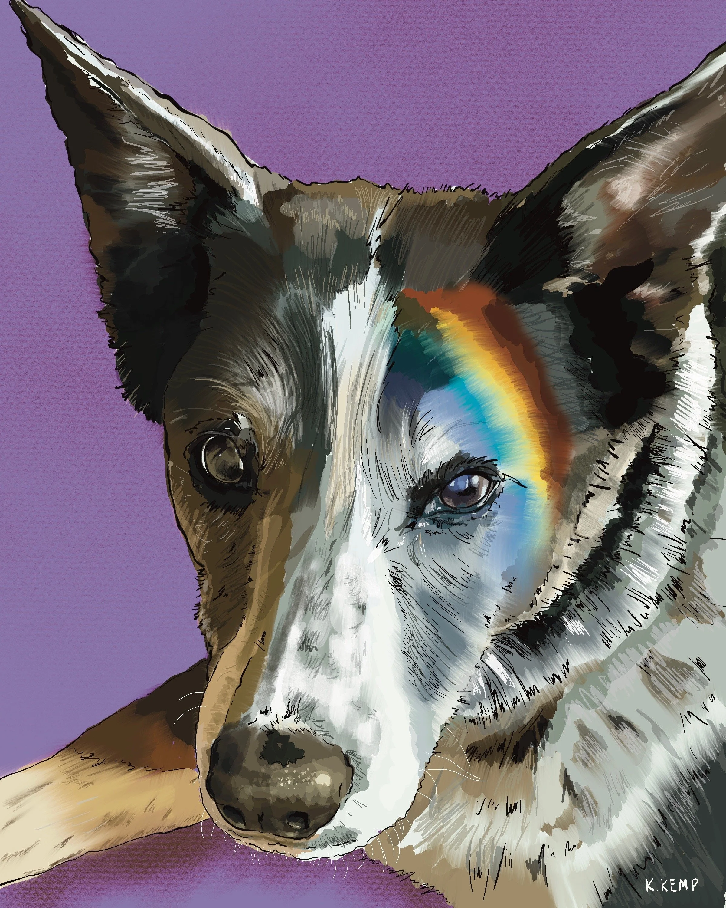 Close-up of a Siberian Husky dog with blue eyes, brown and white fur, and distinctive facial markings, against a purple background.