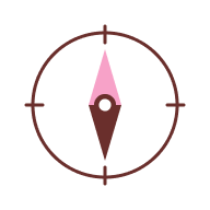 Compass icon
