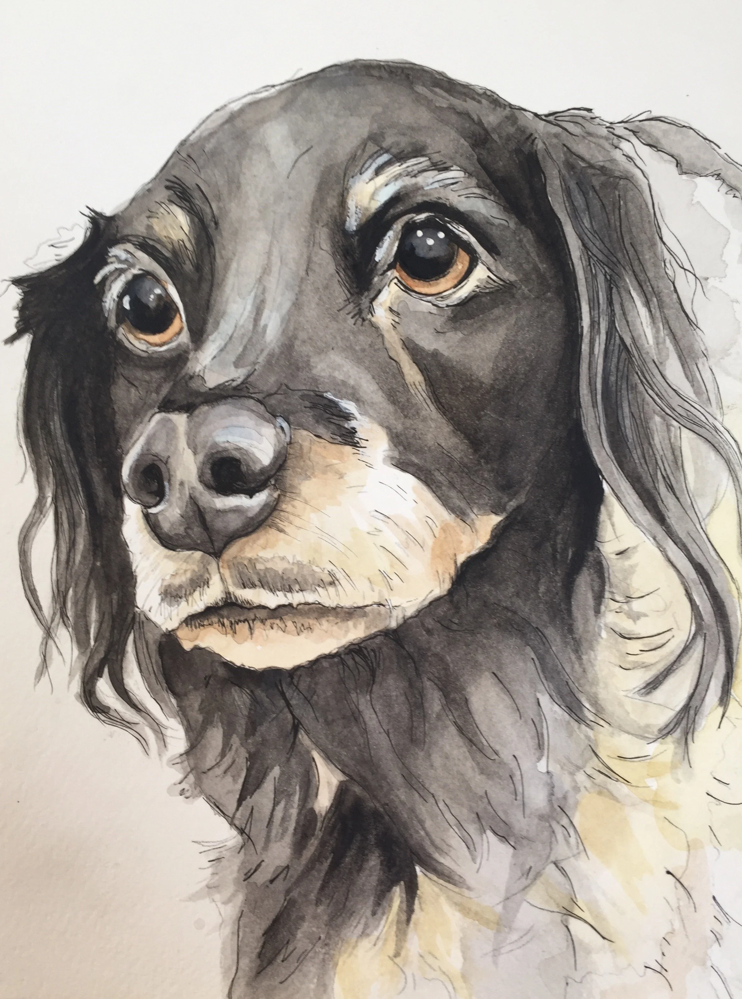 Watercolor painting of a black and tan dog with soulful eyes and long fur, possibly a hound or retriever breed.