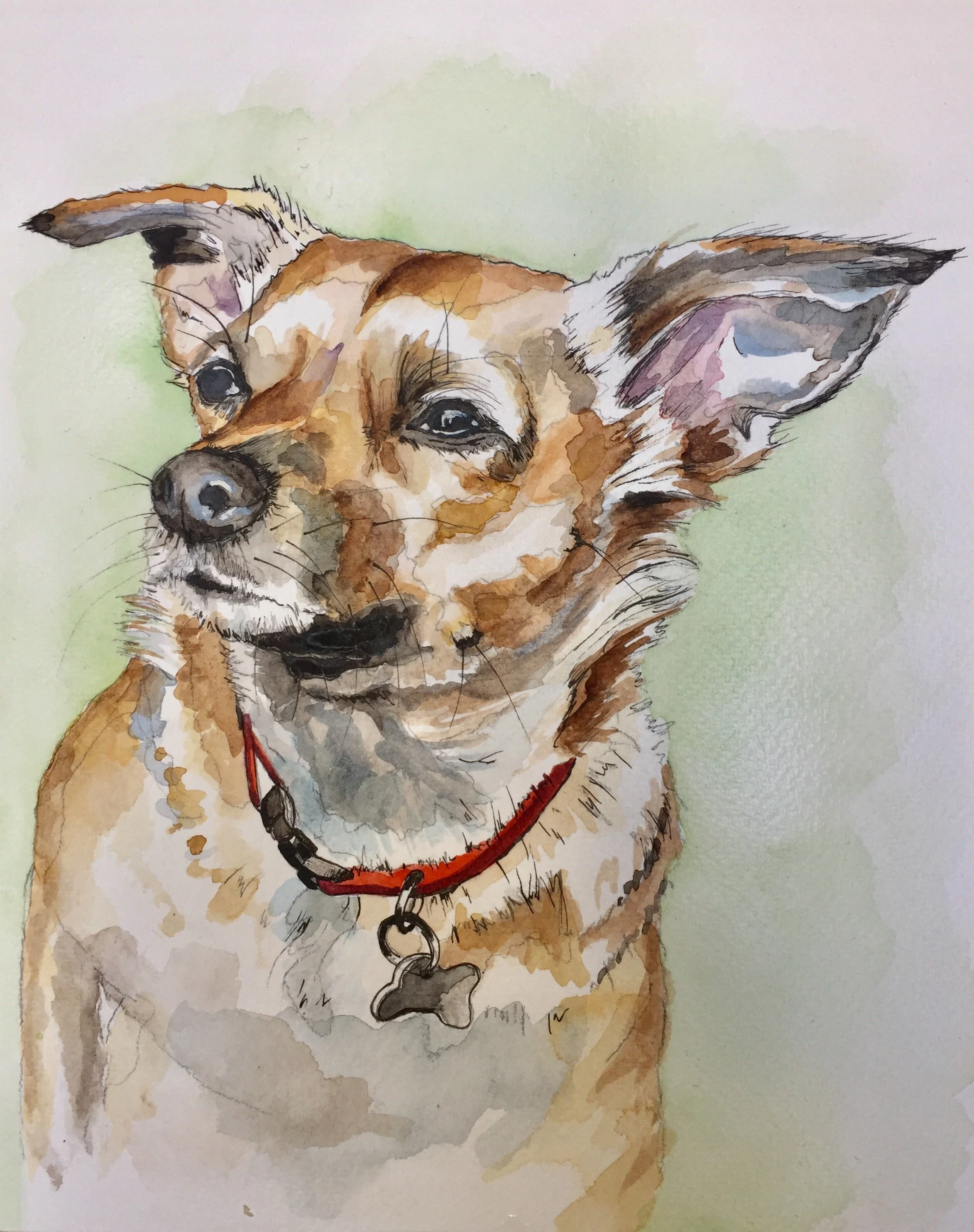 Watercolor painting of a dog with tan and white fur, large ears, and a red collar, set against a pale green background.