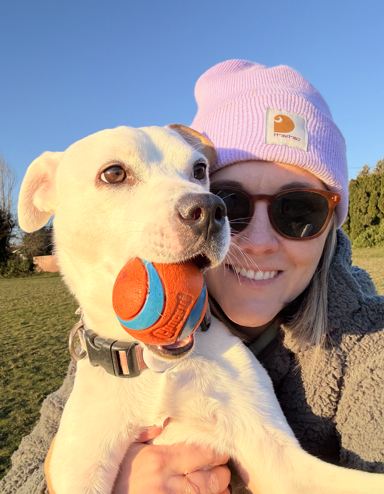 A woman wearing sunglasses and a pink beanie smiling while holding a white dog with a toy ball in its mouth outdoors during sunset.