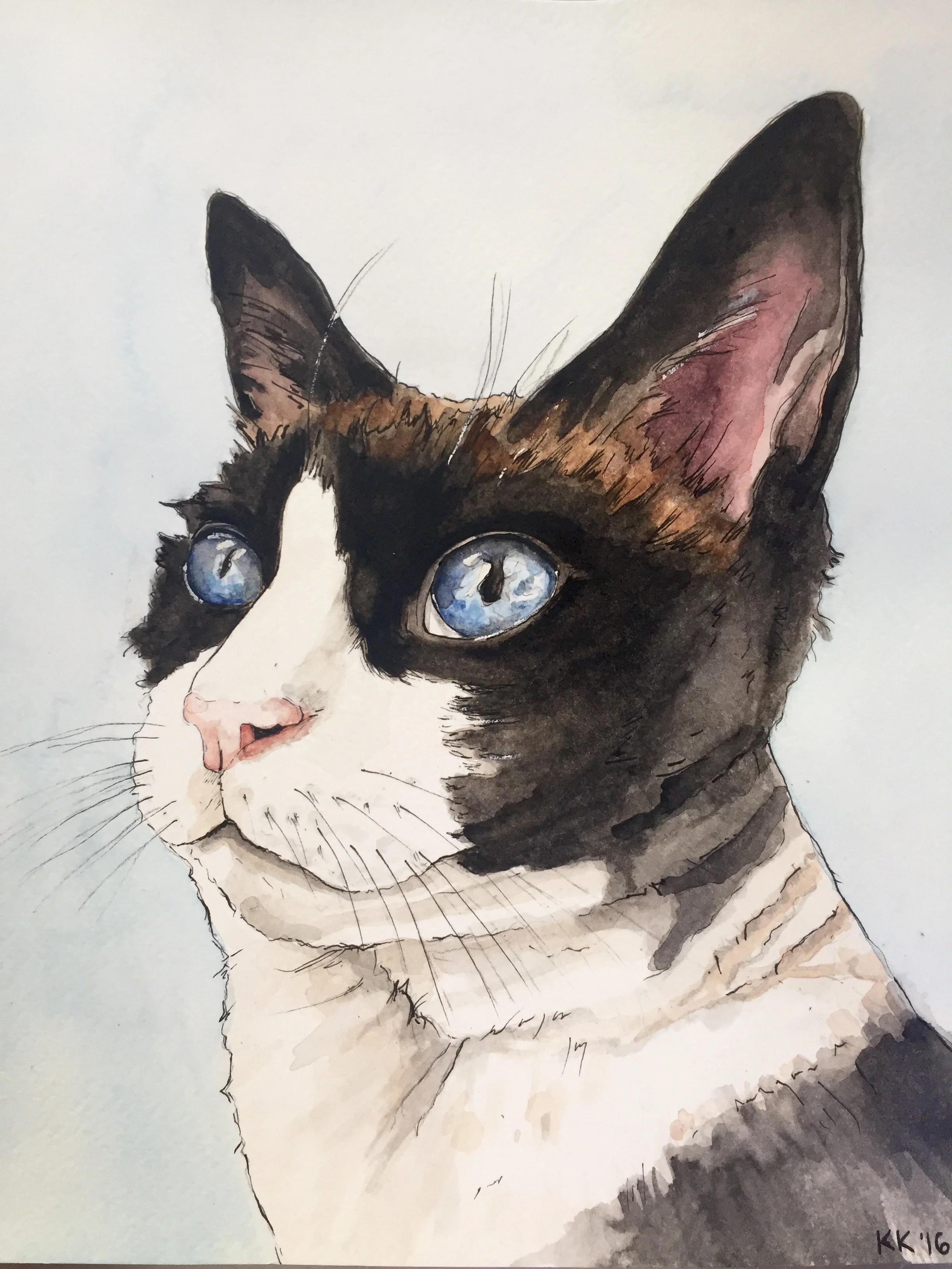Colorful watercolor painting of a cat with blue eyes, primarily black and white fur, and hints of brown and pink on the ears and nose, with shading and feathering details.