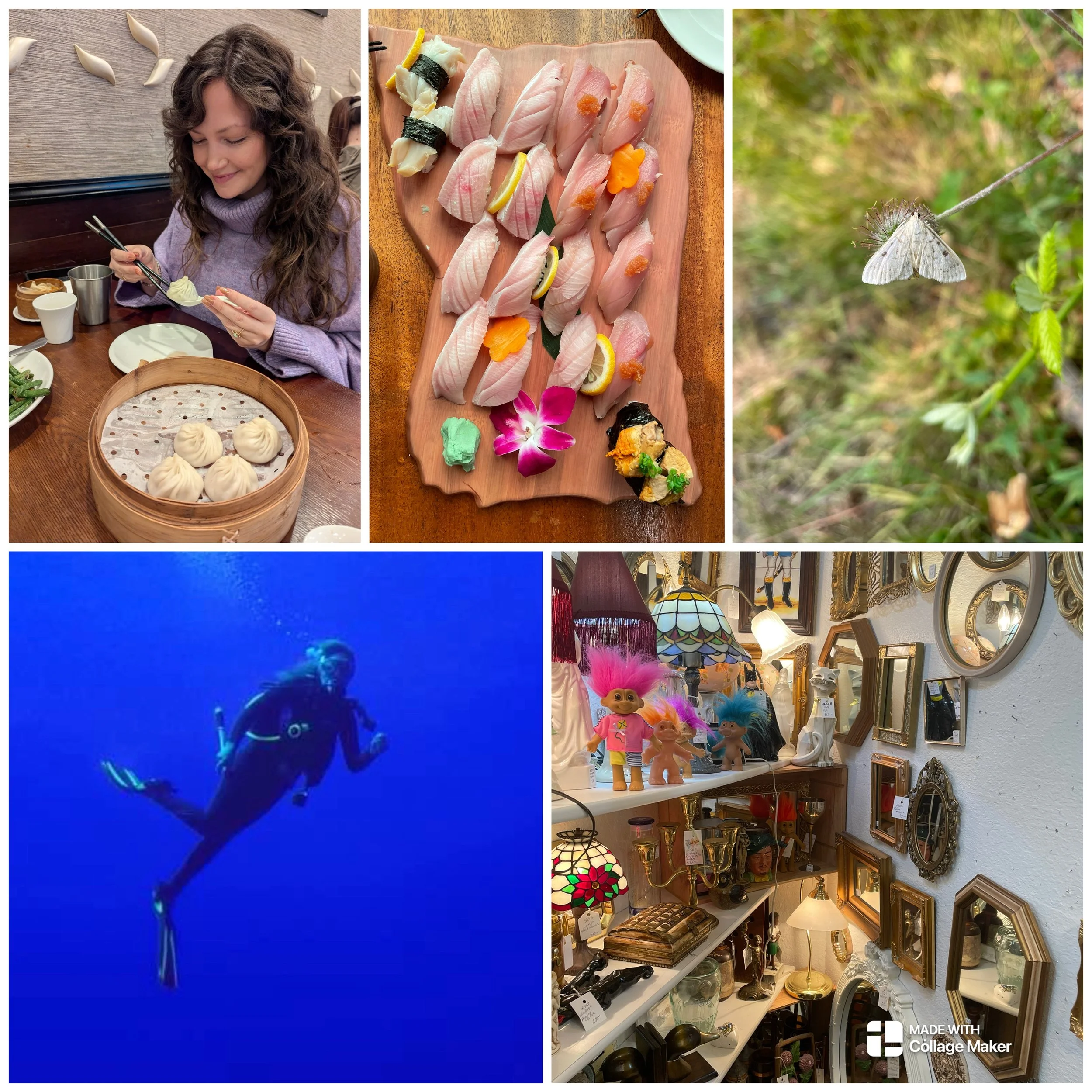 Collage of five images including a woman eating dim sum at a restaurant, an assortment of sashimi on a wooden platter, a close-up of a moth on a plant, a diver underwater in a blue ocean, and an antique shop with mirrors and dolls.