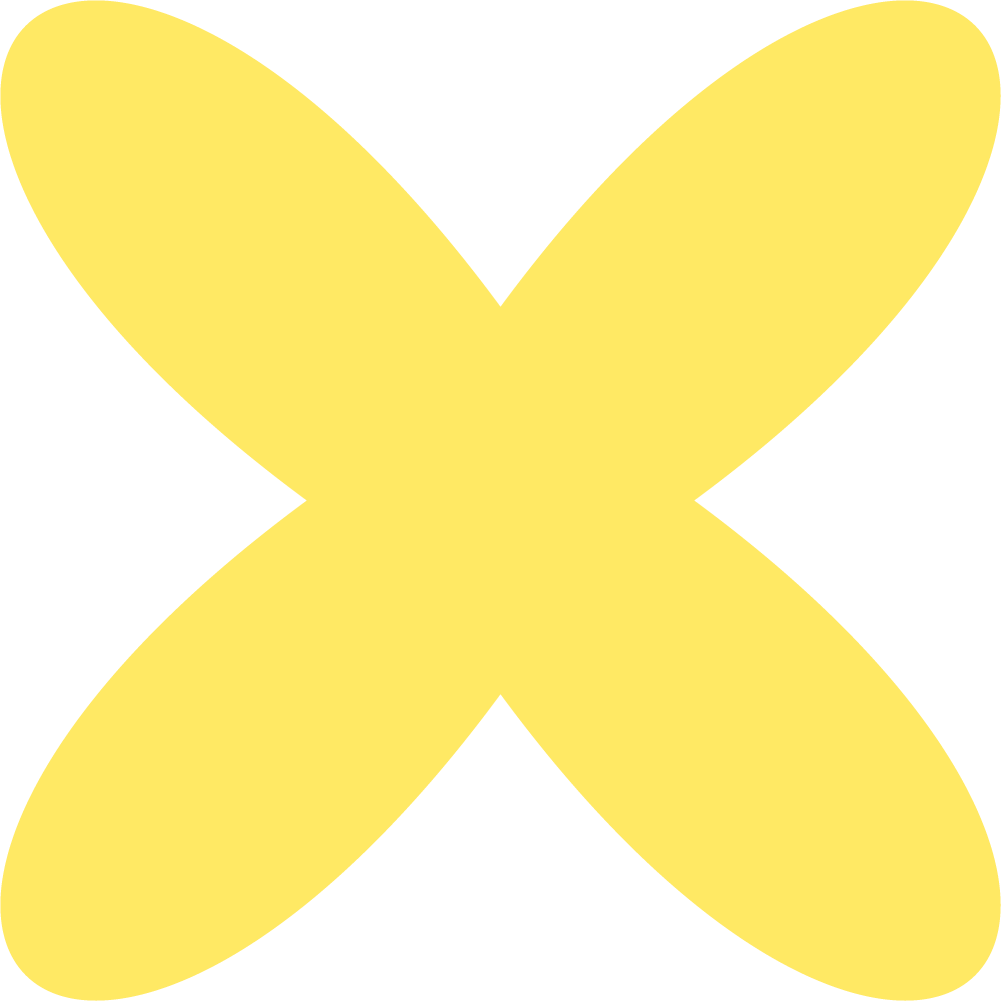 yellow x icon