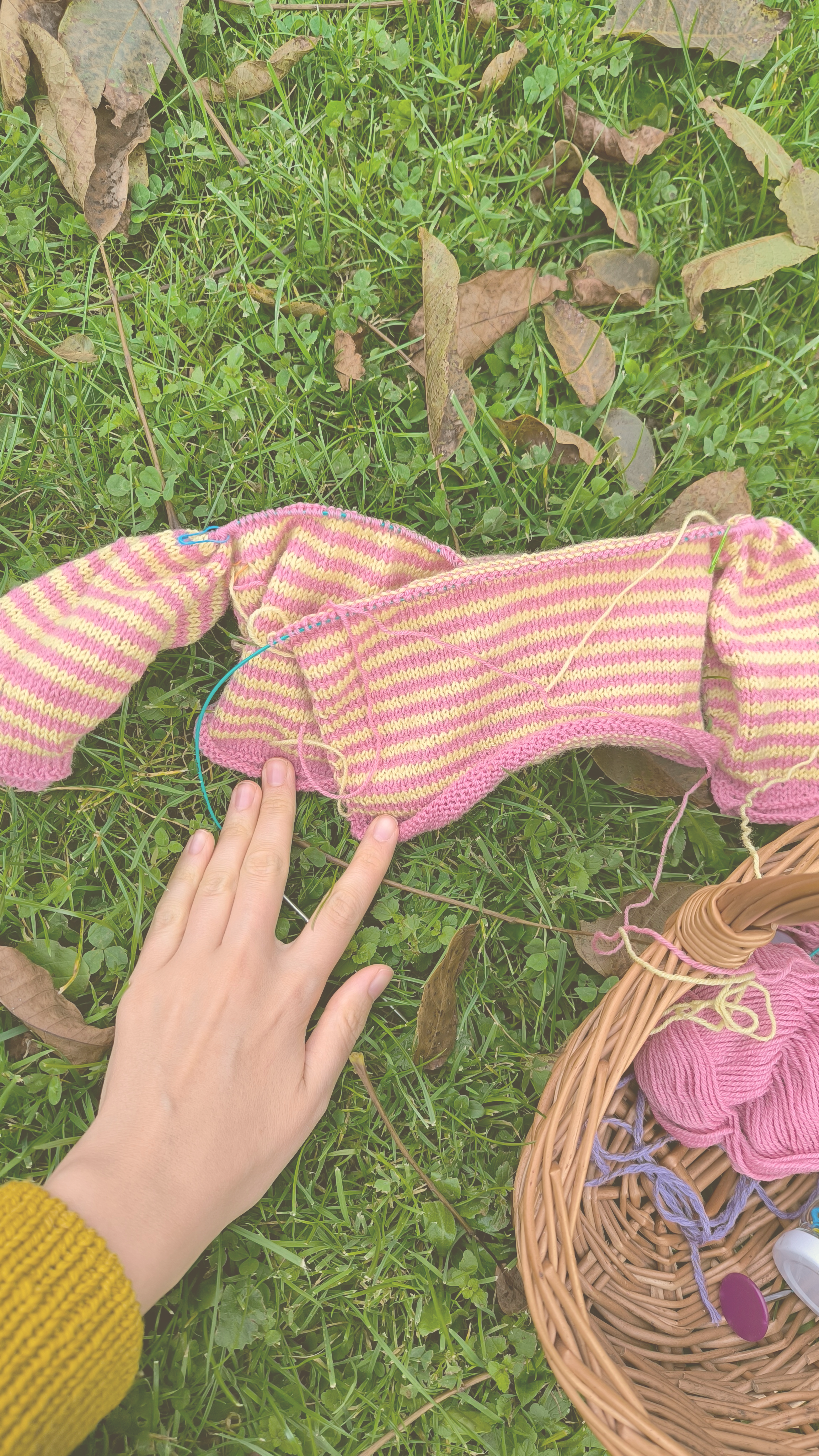 Ein bunter gestrickter Frühchenstrampler liegt auf grünem Gras, in der Nähe liegt ein Korb mit Garn und Strickzubehör, eine Hand berührt den Strampler.