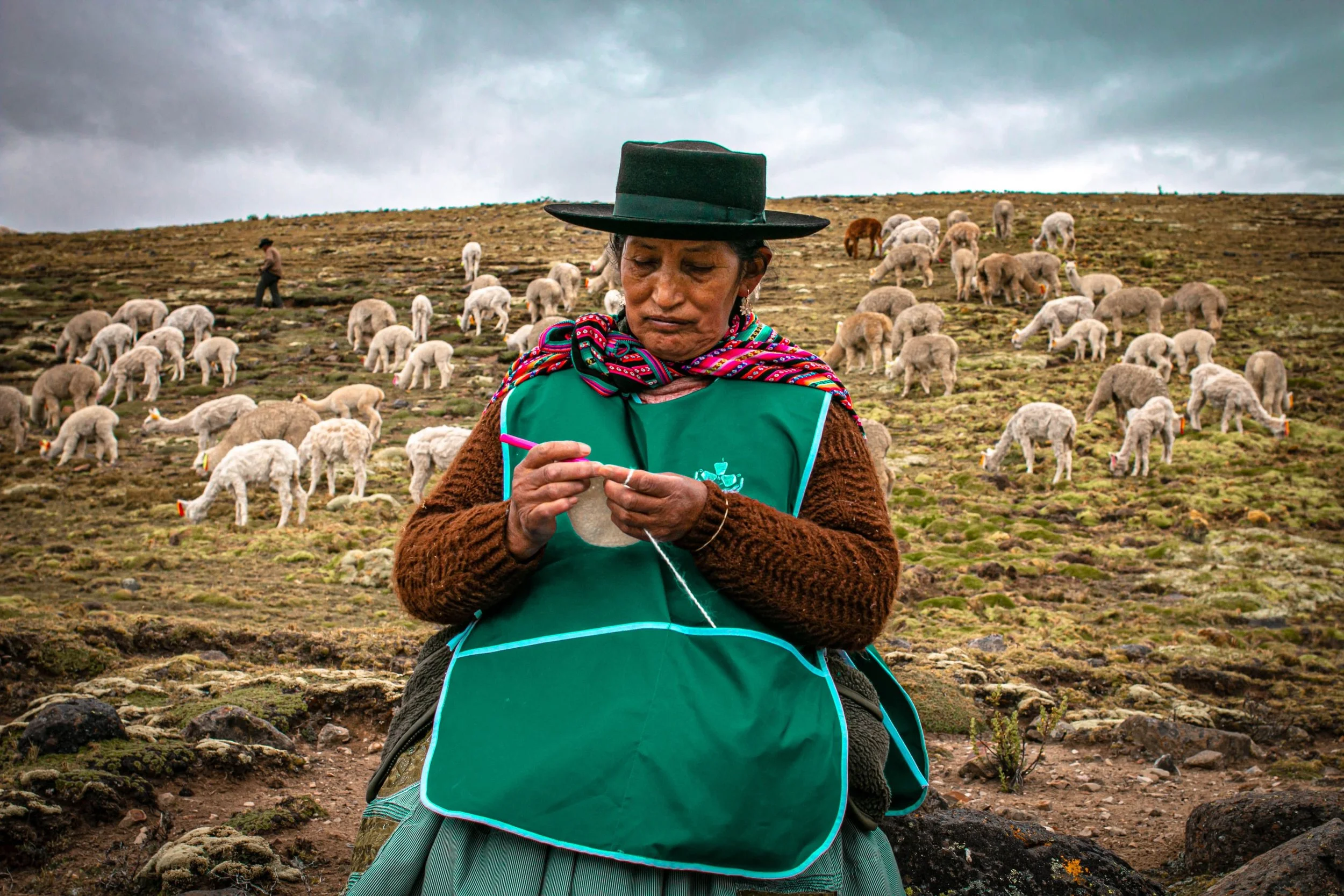 Eine ältere Frau in traditioneller peruanischer Kleidung und Hut im Hochland, die häkelt, mit einer Alpakaherde im Hintergrund an einem bewölkten Himmel in den Anden Perus