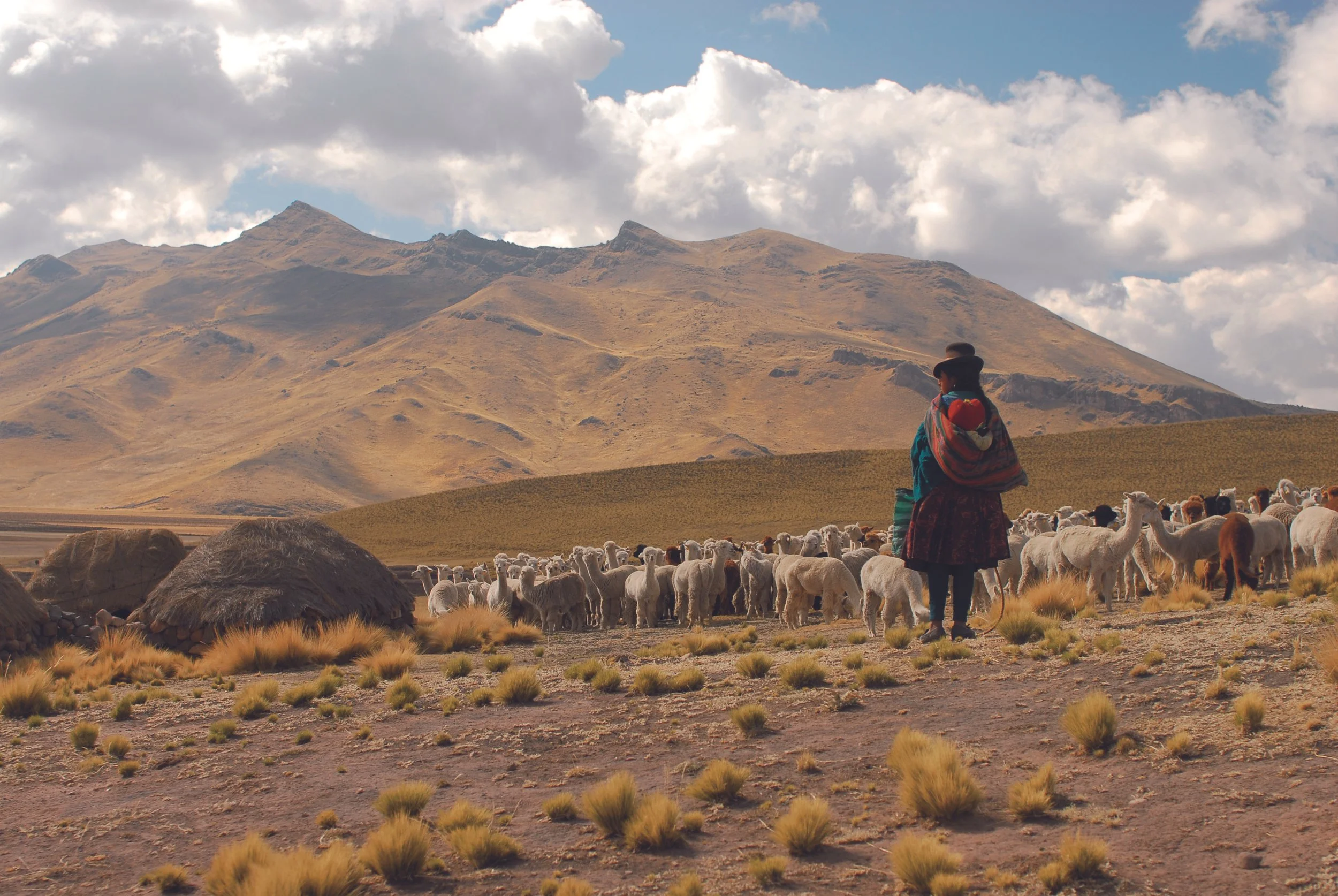 Eine Frau mit buntem Poncho steht vor einer Herde Lamas oder Alpakas in einer bergigen, trockenen Landschaft unter einem bewölkten Himmel.