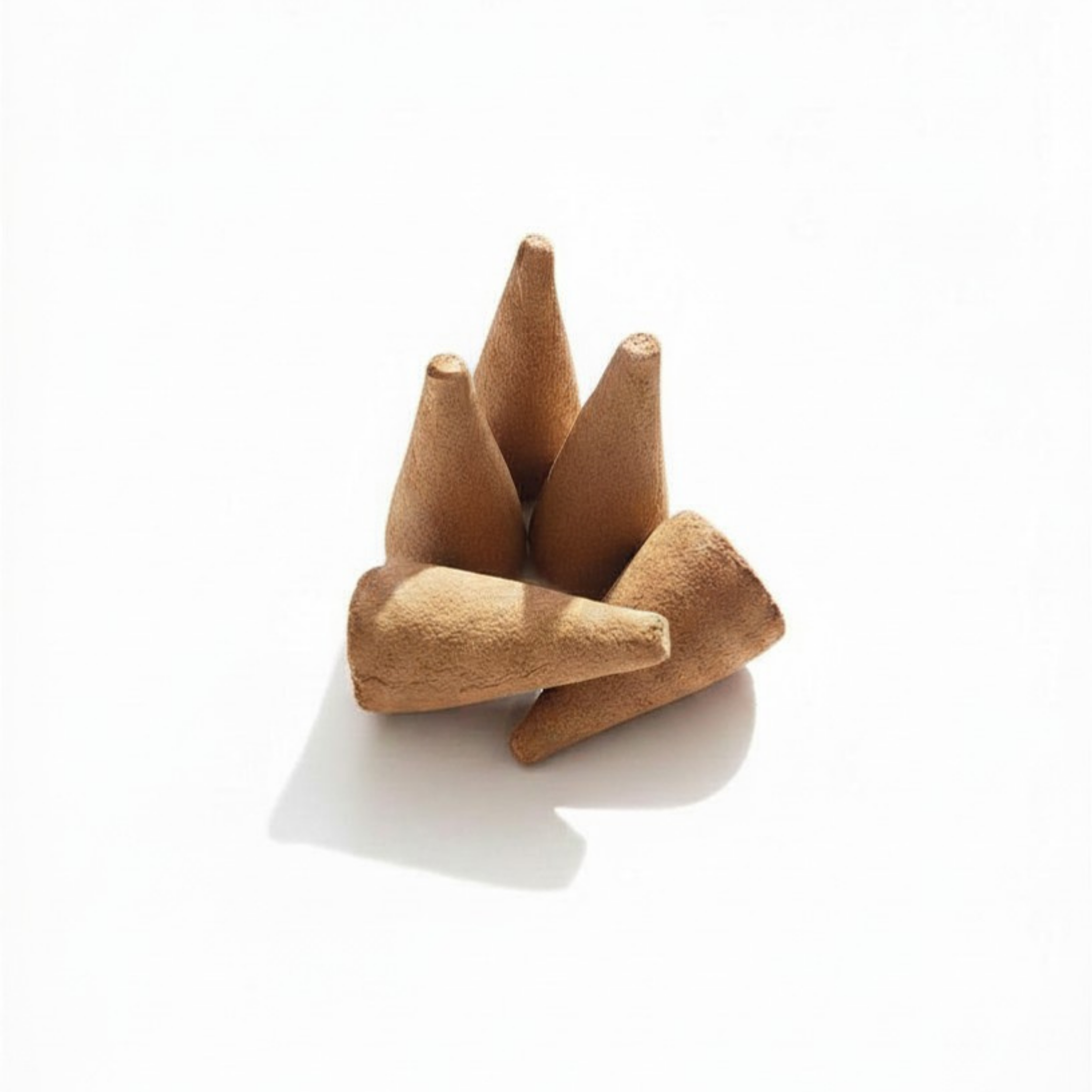 Palo Santo.png