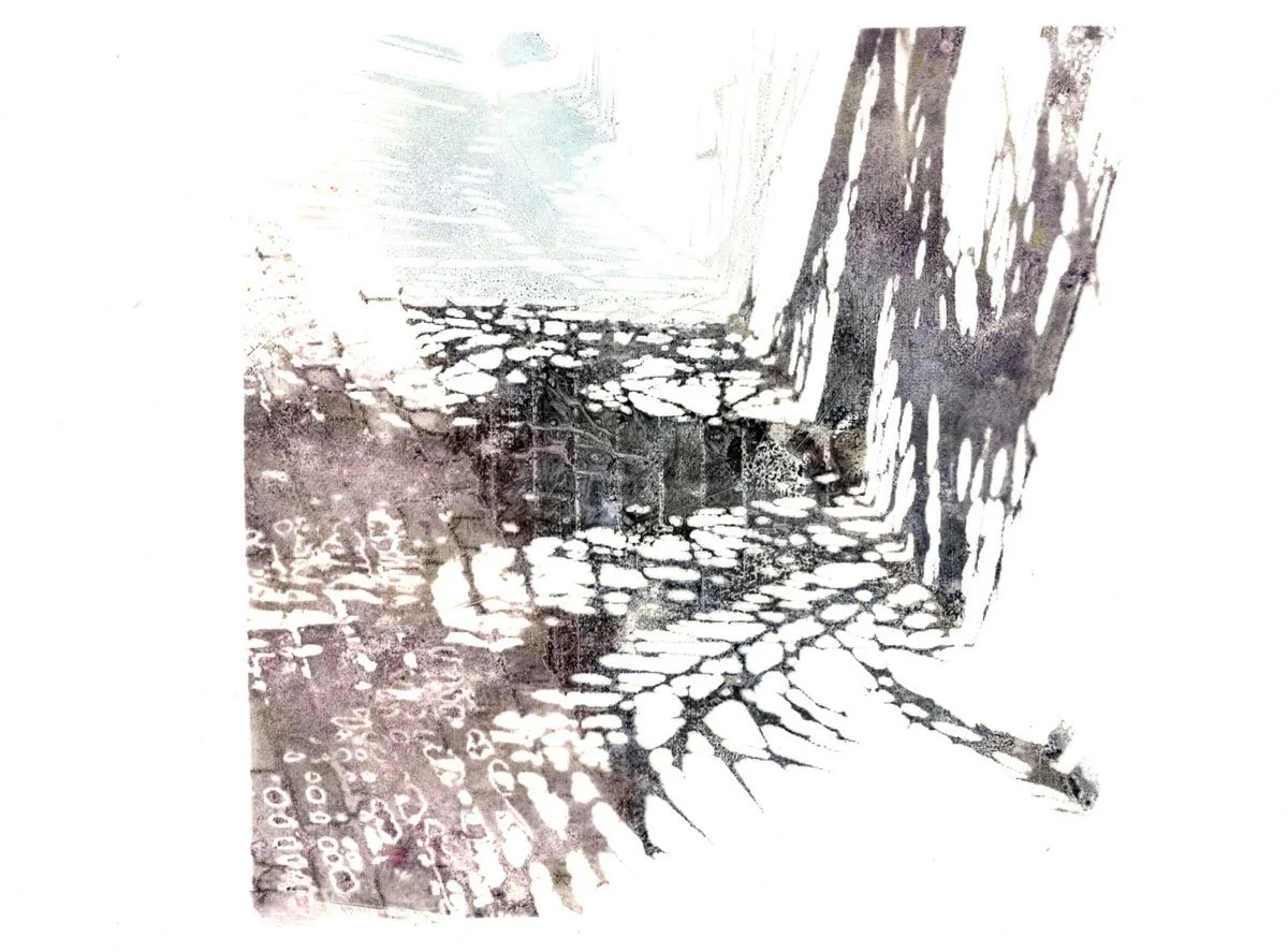 Mechanical Botanical 2
2012
Inkjet photo transfer on paper
6 x 8 inches