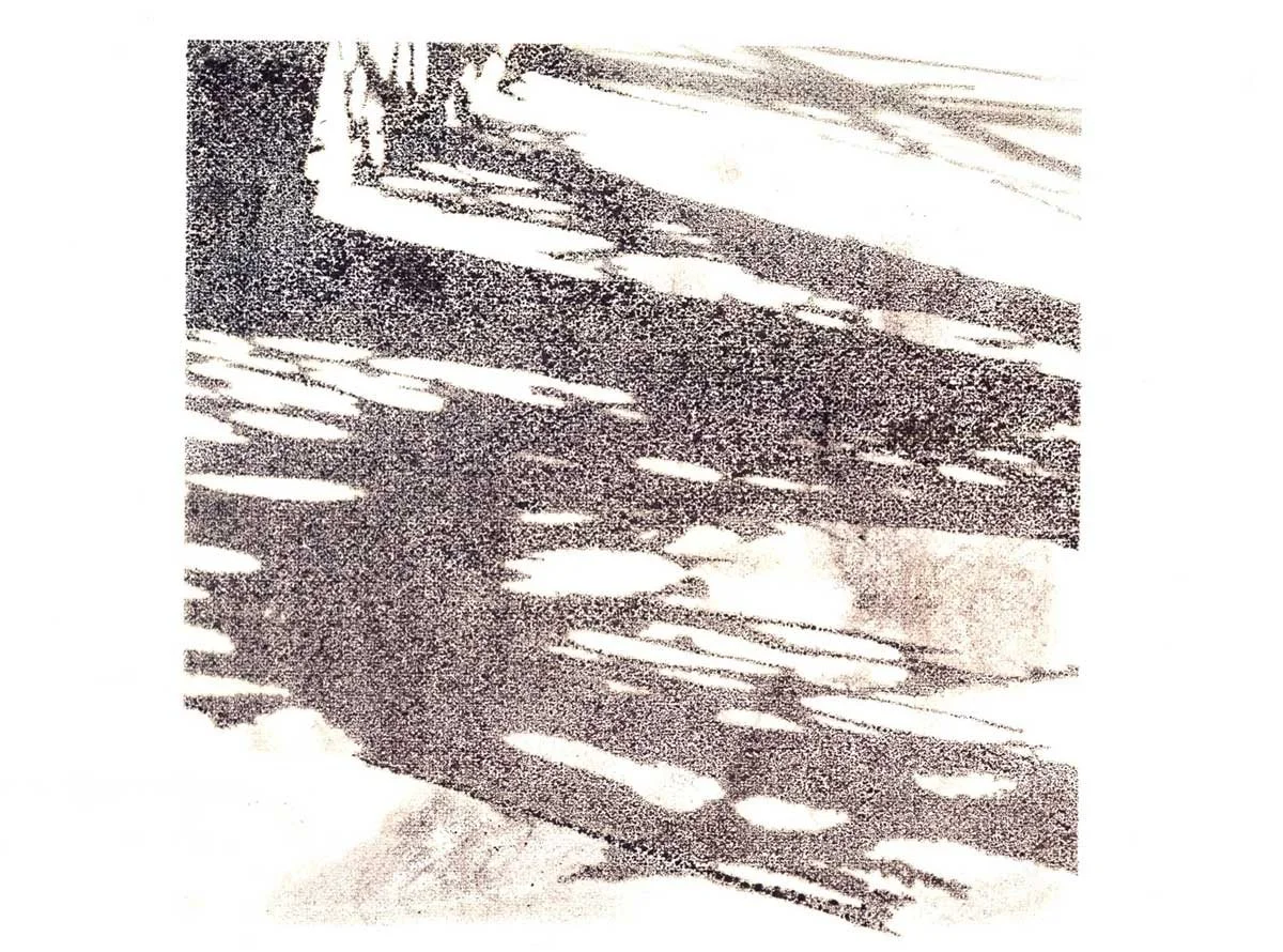 Mechanical Botanical 3
2012
Inkjet photo transfer on paper
6 x 8 inches