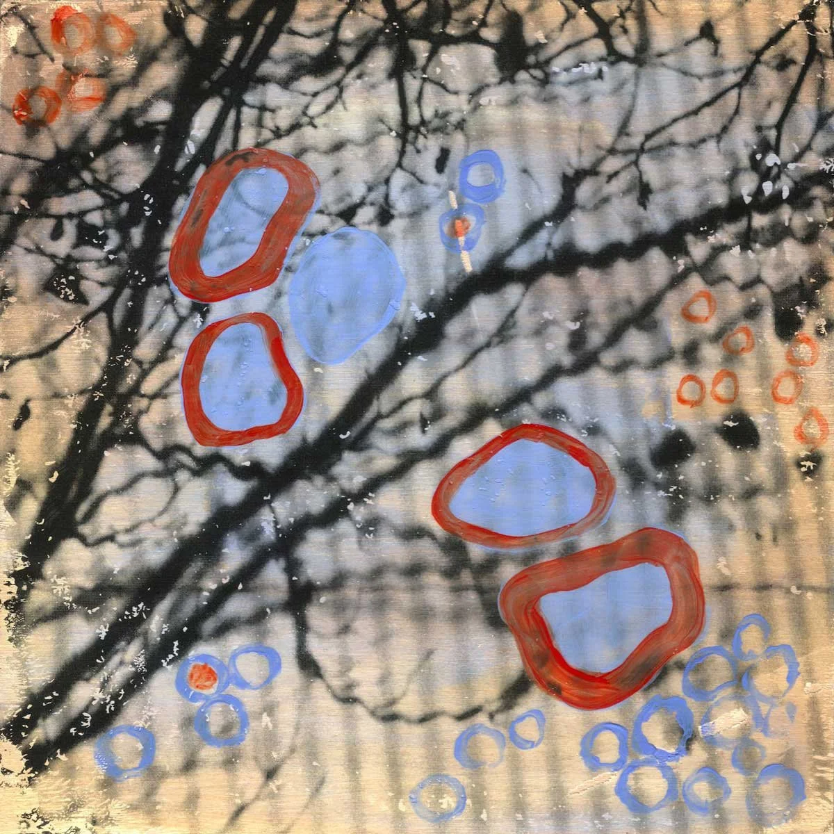 Mechanical Botanical  8
2012
Inkjet photo transfer and acrylic on panel
8 x 8 inches