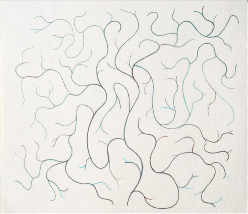 Not Impossible Pathways, Berkeley, 2016
Pastel and charcoal on paper
10 x 11 inches