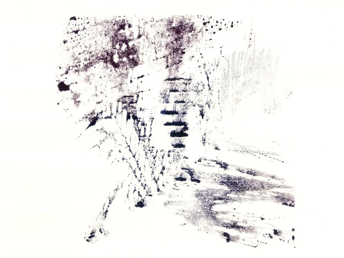 Mechanical Botanical 5
2012
Inkjet photo transfer on paper
6 x 8 inches