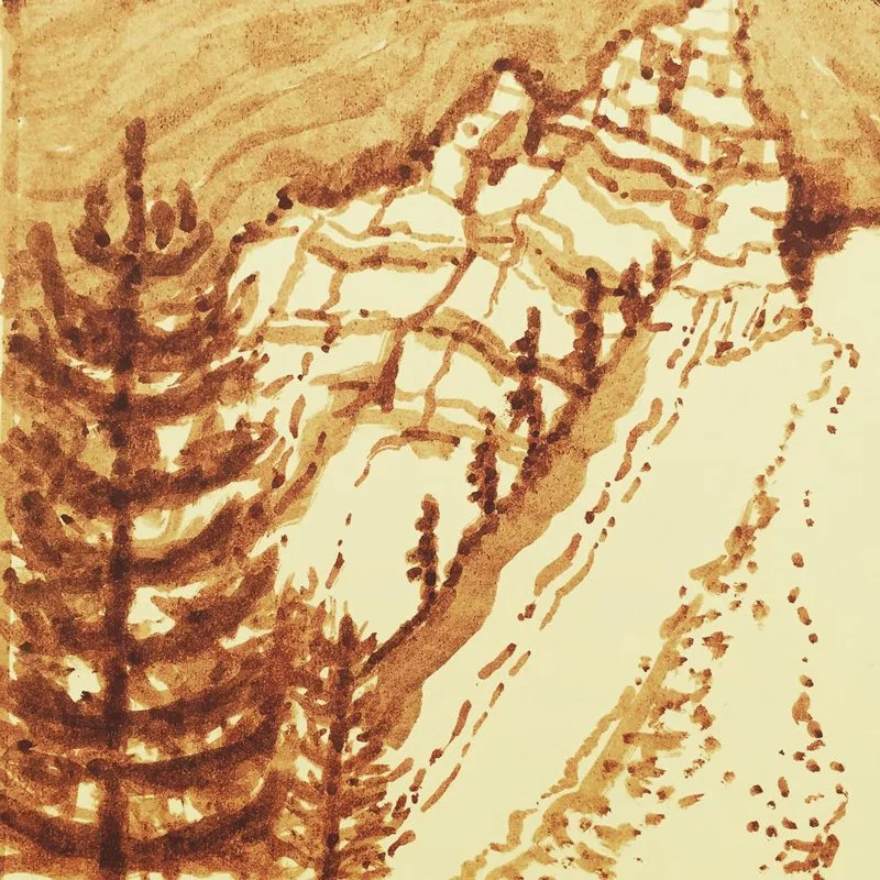 Carson Iceberg Wilderness, 2015
Ink drawing, detail from sketchbook
Original: 5 x 3 inches