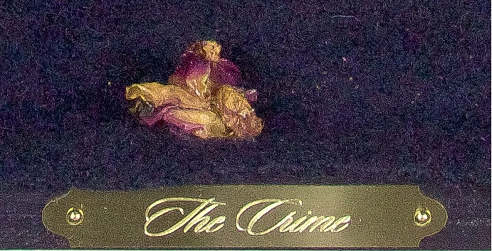 The Crime (detail)
2016
Wool, roses, brass title plate on wood panel