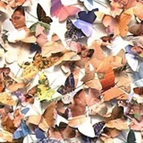 Summer Bliss, 2014
(detail of butterflies cut from vintage pornography)