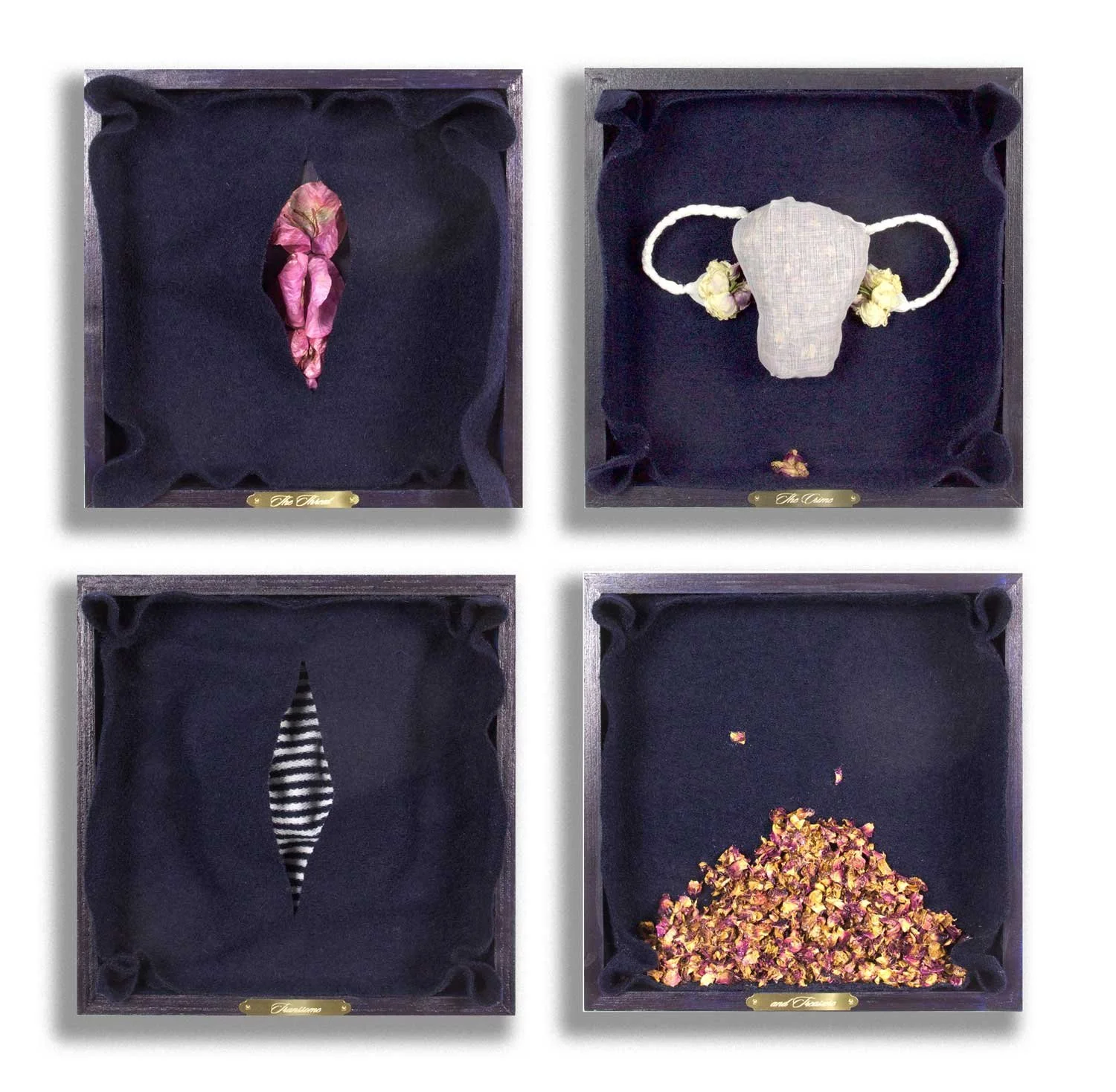 Specimen/Speculum
2016
4-panel installation (left to right, top to bottom):
“The Threat”, “The Crime”, “Transsome”, “and Treasure”
Mixed media
Overall dimensions 22 x 22 x 2