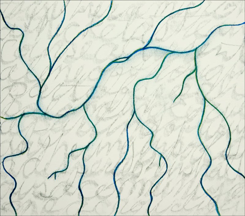 Micro to Crowding (Truckee at Reno), 2015
Sierra Nevada Aquatic Research Laboratory (SNARL) and Berkeley
Graphite and pastel on paper
10 x 11 inches