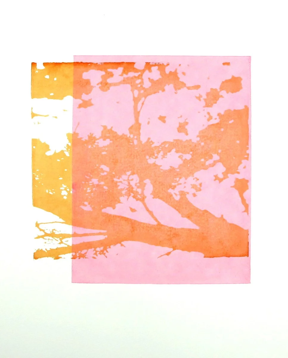 Clean Streets 3
2012
Screenprint on paper
14 x 17 inches