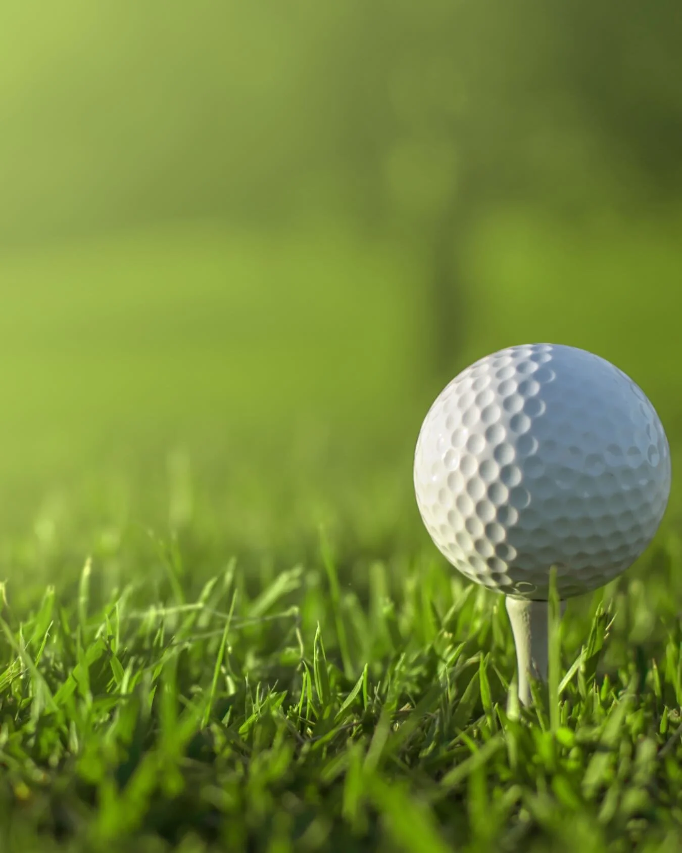 Tee it up.
Let&rsquo;s play. ⛳️

#BirdieSocial #IndoorGolf #TeeItUp #GolfLife #PlayYourWay