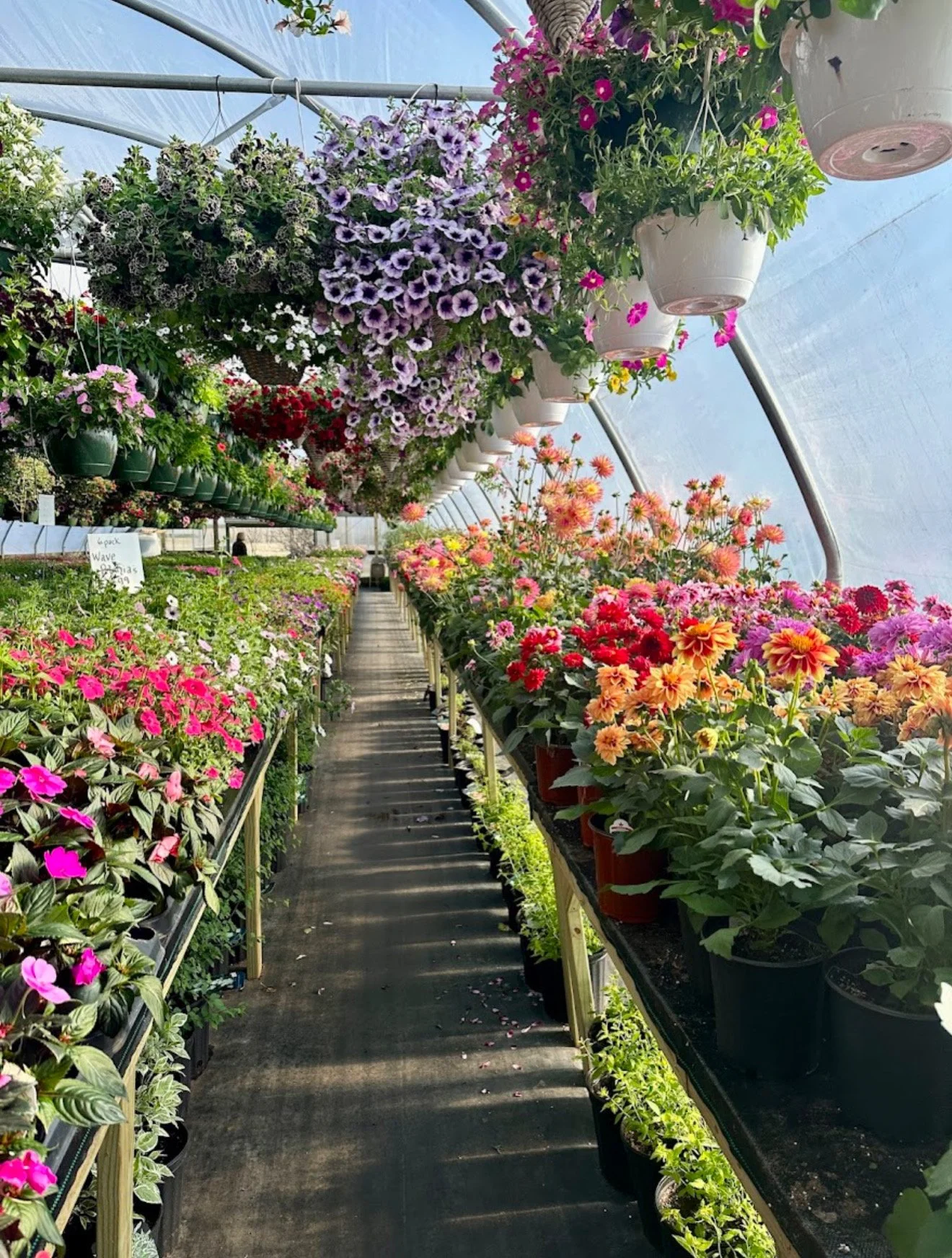 Shanti at the Greenhouse: A Mommy + Me Event