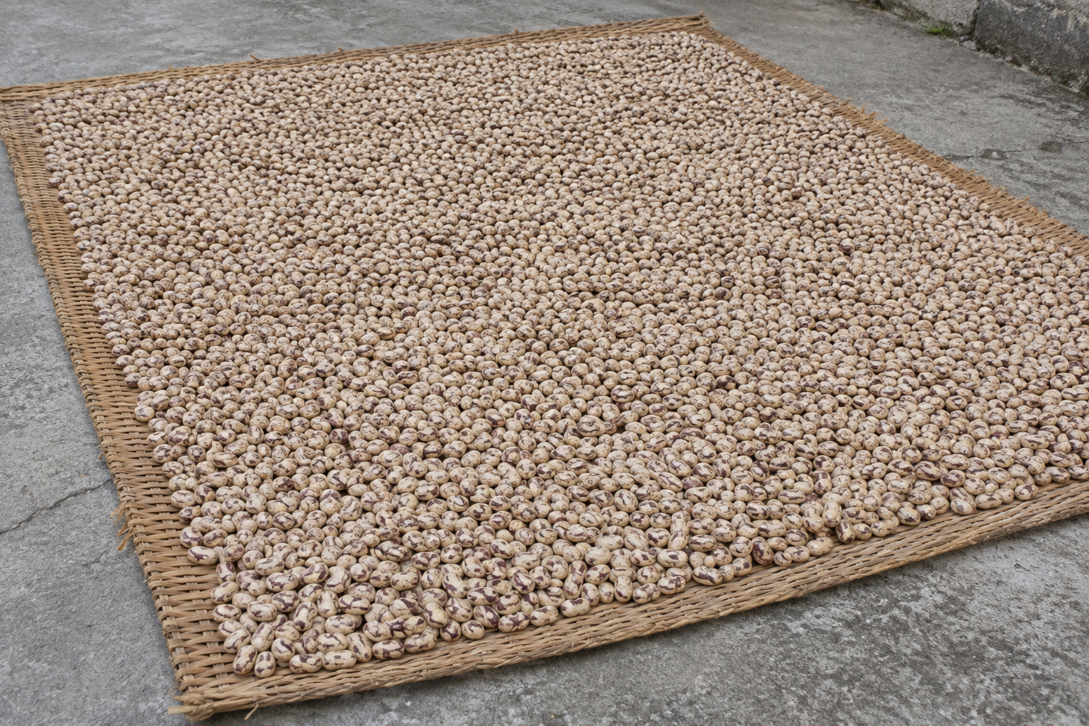 Speckled beans spread across a woven mat on a concrete surface.