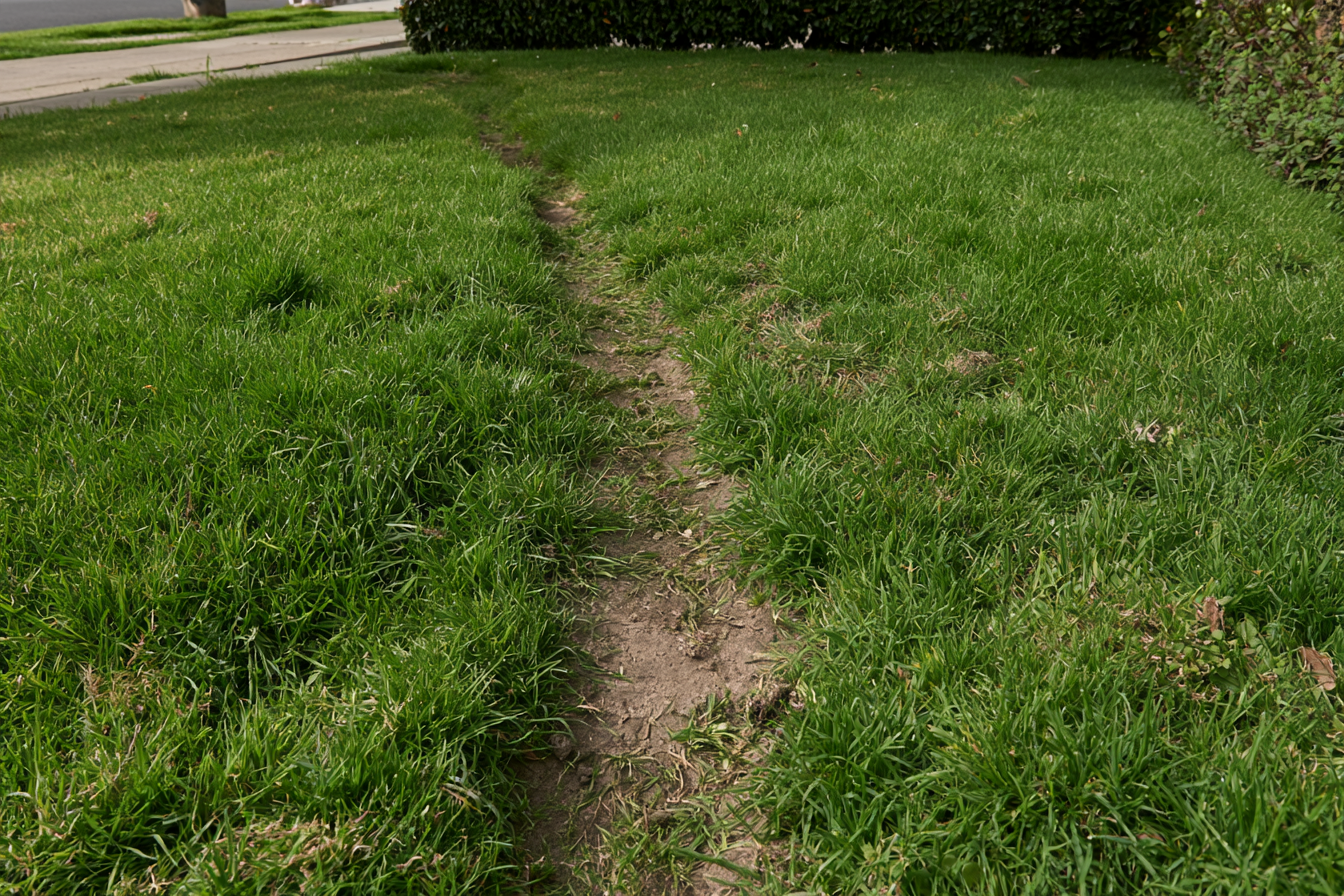 A narrow dirt path through green grass, leading toward a paved sidewalk and a low hedge.