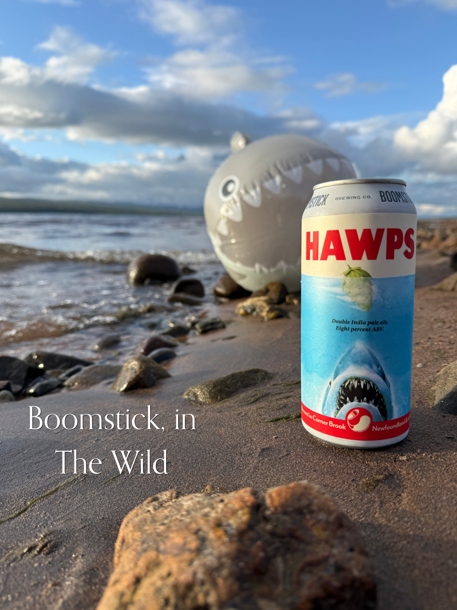 A can of Hawps beer on a rocky beach with a plush shark toy in the background, sky with clouds, and tide coming in.