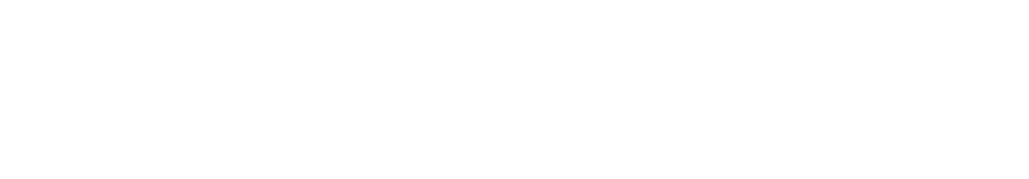 Hirschhorn Psychology