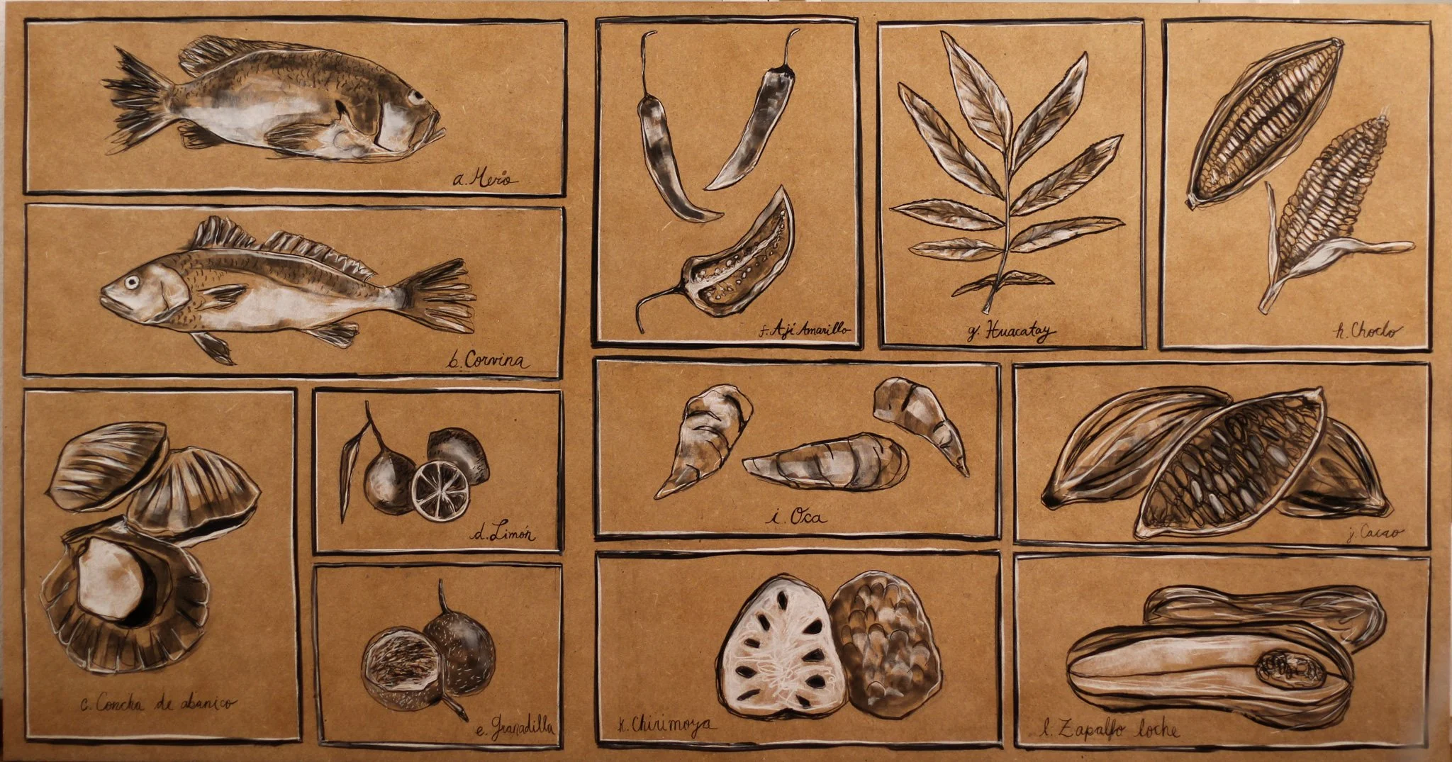 Detail of large-scale illustrated wall installation for Leche de Tigre restaurant in Barcelona, depicting hand-drawn peruvian culinary ingredients and botanical forms.