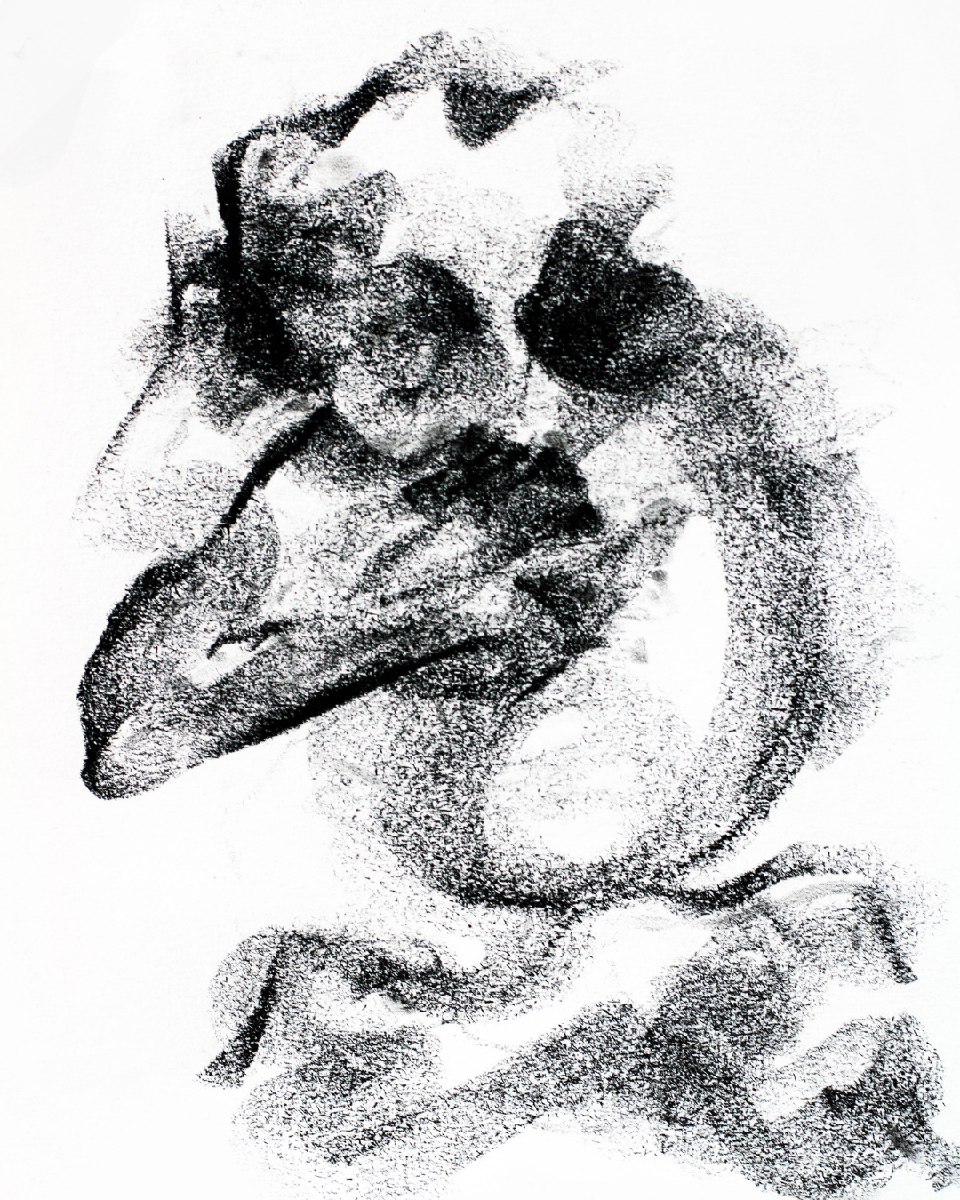 Charcoal drawing depicting an abstract human figure rendered with bold gestural charcoal strokes and soft tonal shading.