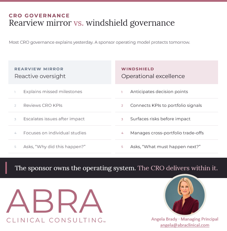 How Portfolio Governance and PMOs Should Interact With CROs