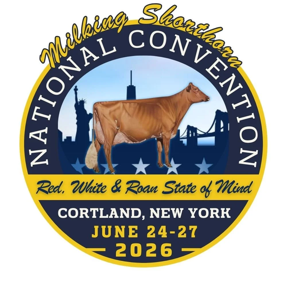 National Convention