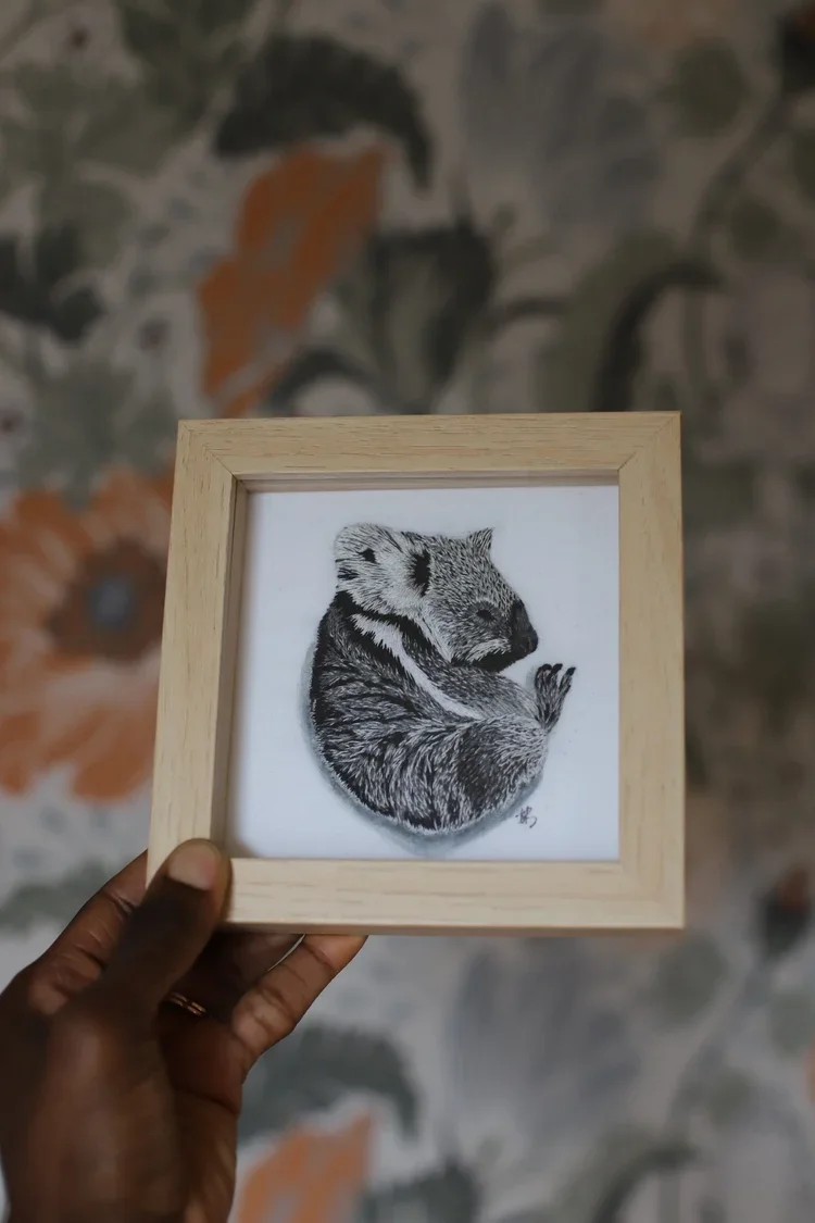 Koala 2025
Measured 6/6