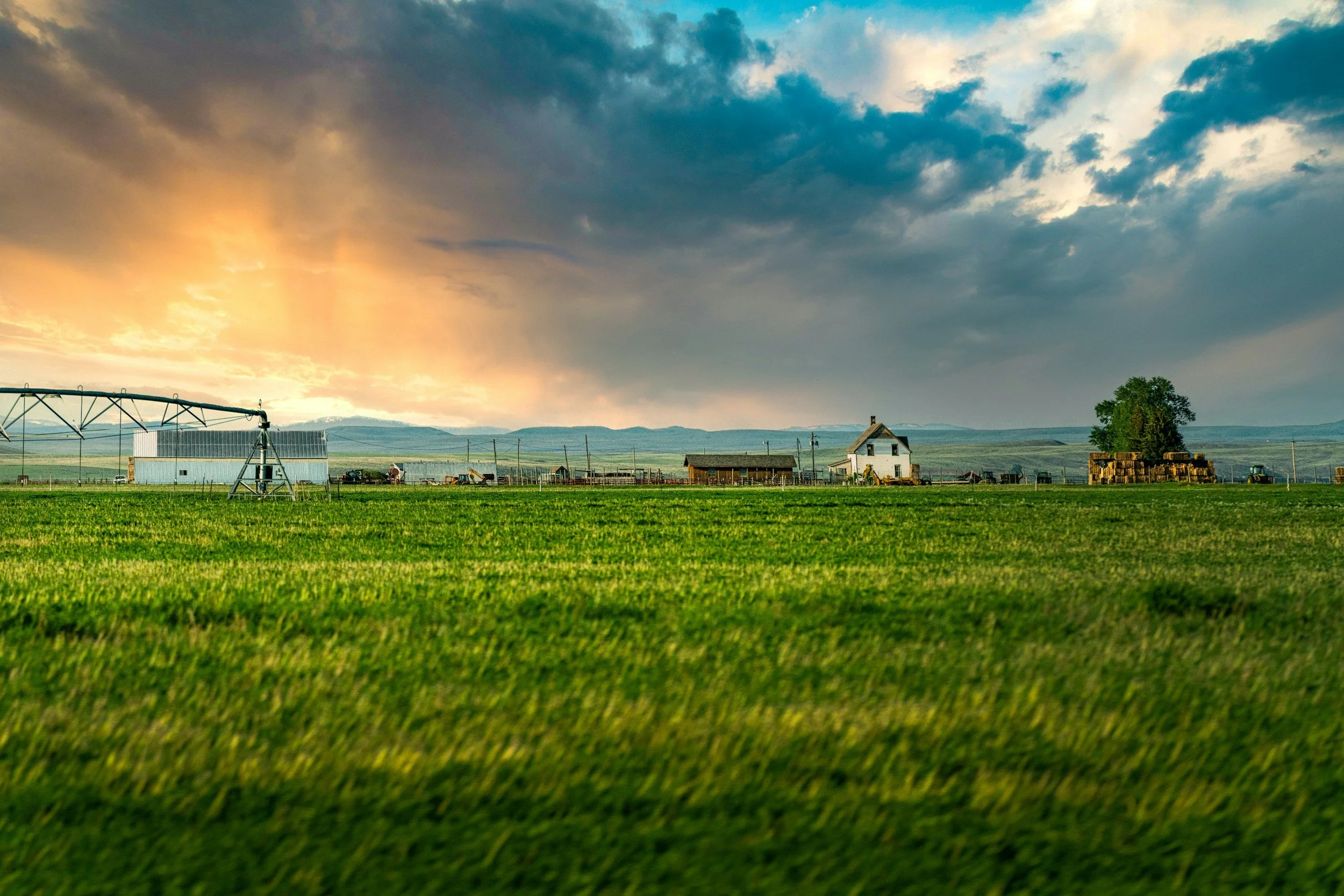 green farmland with barns in the background